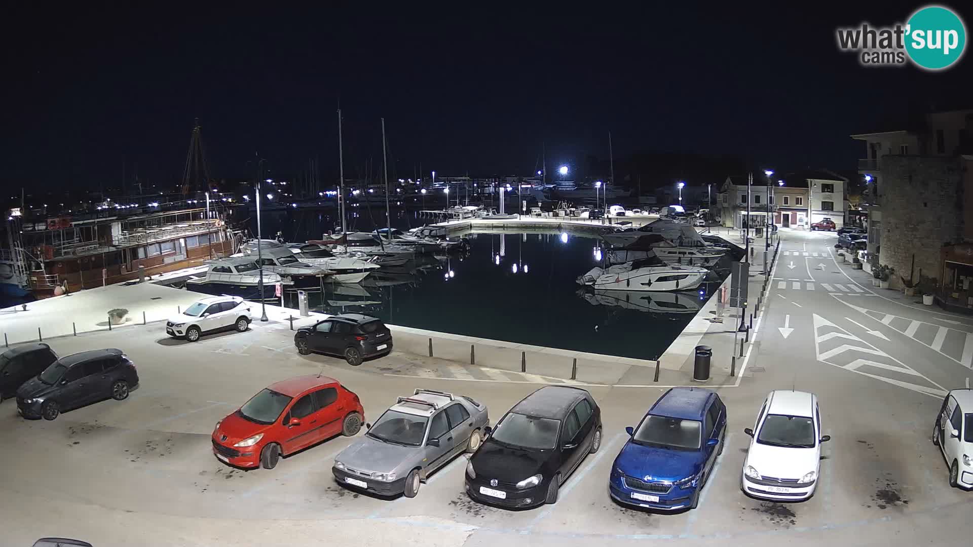 Novigrad | Porporela marina