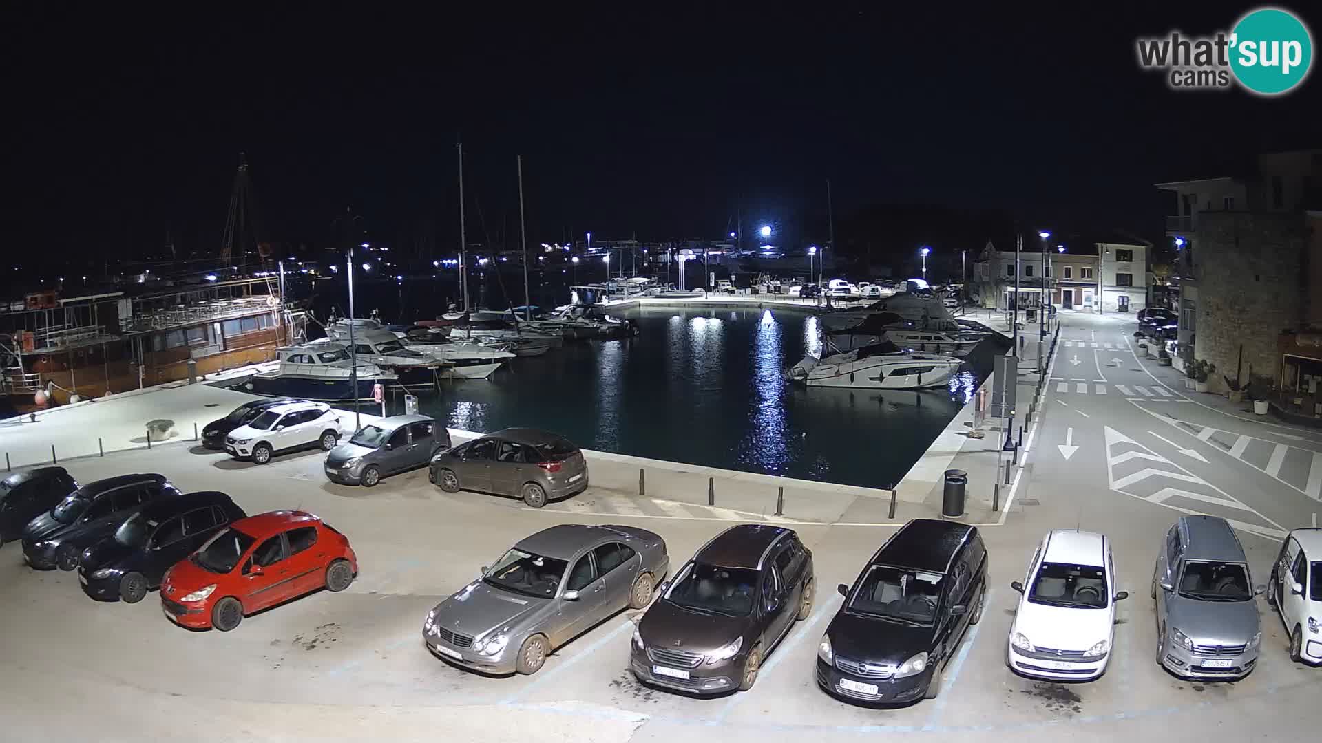 Novigrad | Porporela marina