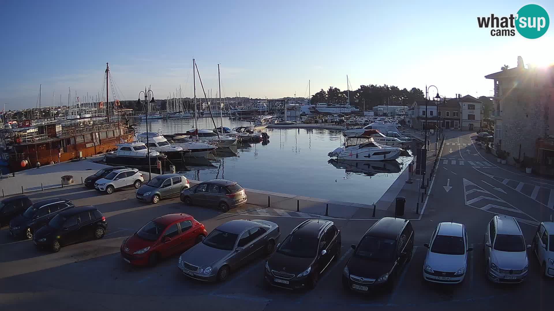 Novigrad | Porporela marina