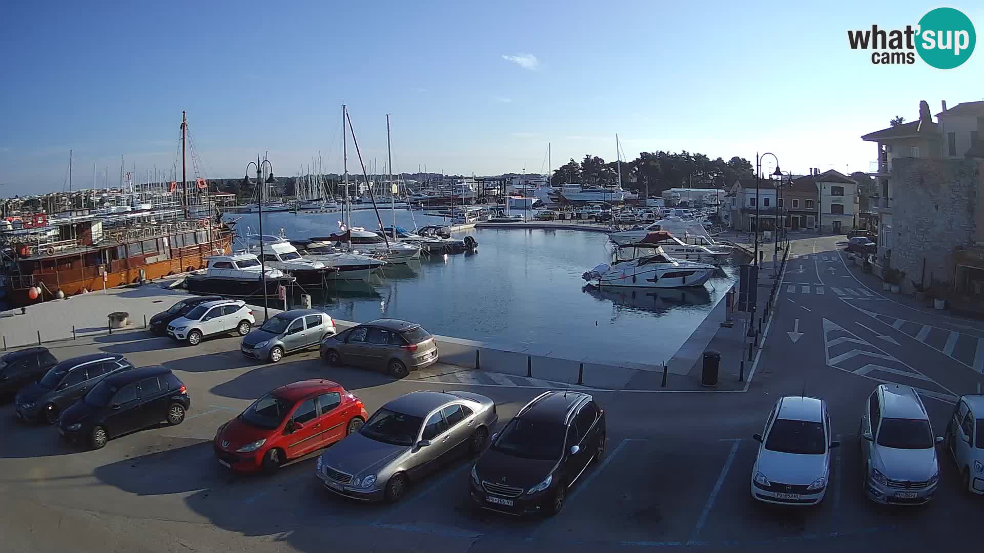 Novigrad | Porporela marina