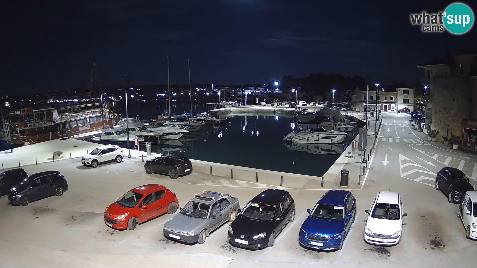 Novigrad | Porporela marina