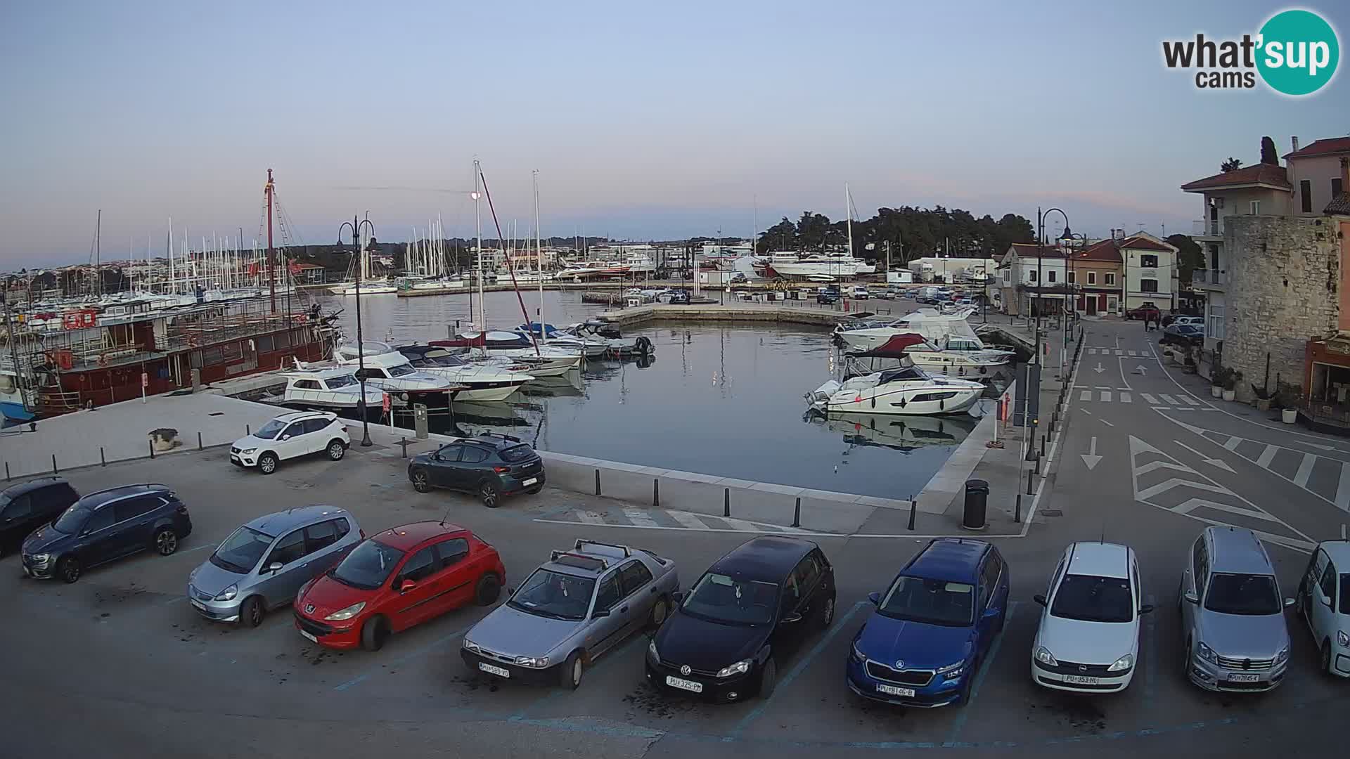 Novigrad | Porporela marina