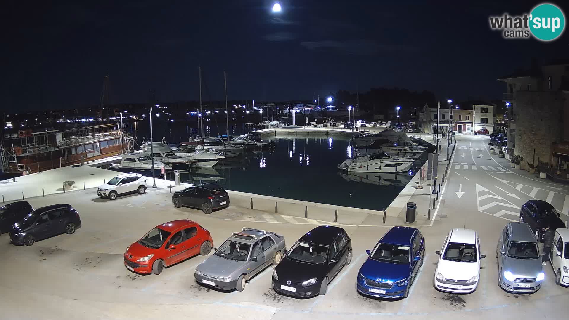 Novigrad | Porporela marina