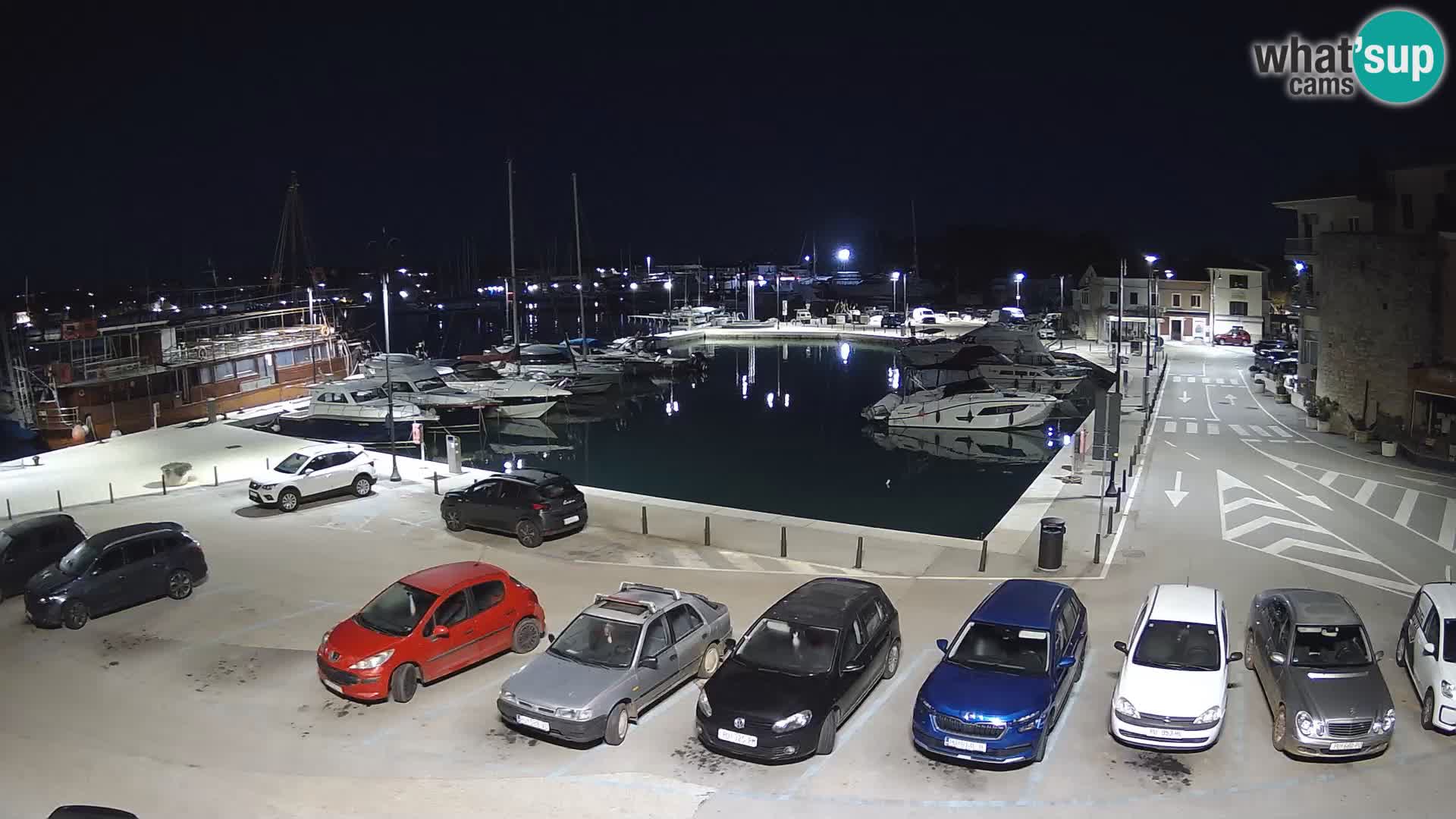 Novigrad | Porporela marina