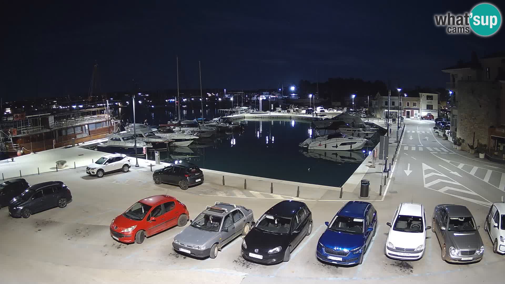 Novigrad | Porporela marina