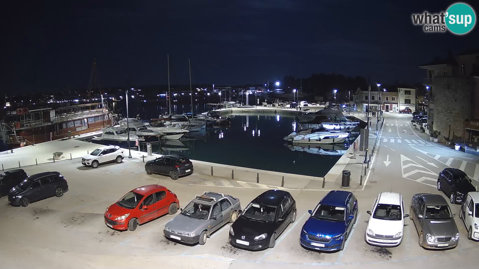 Novigrad | Porporela marina