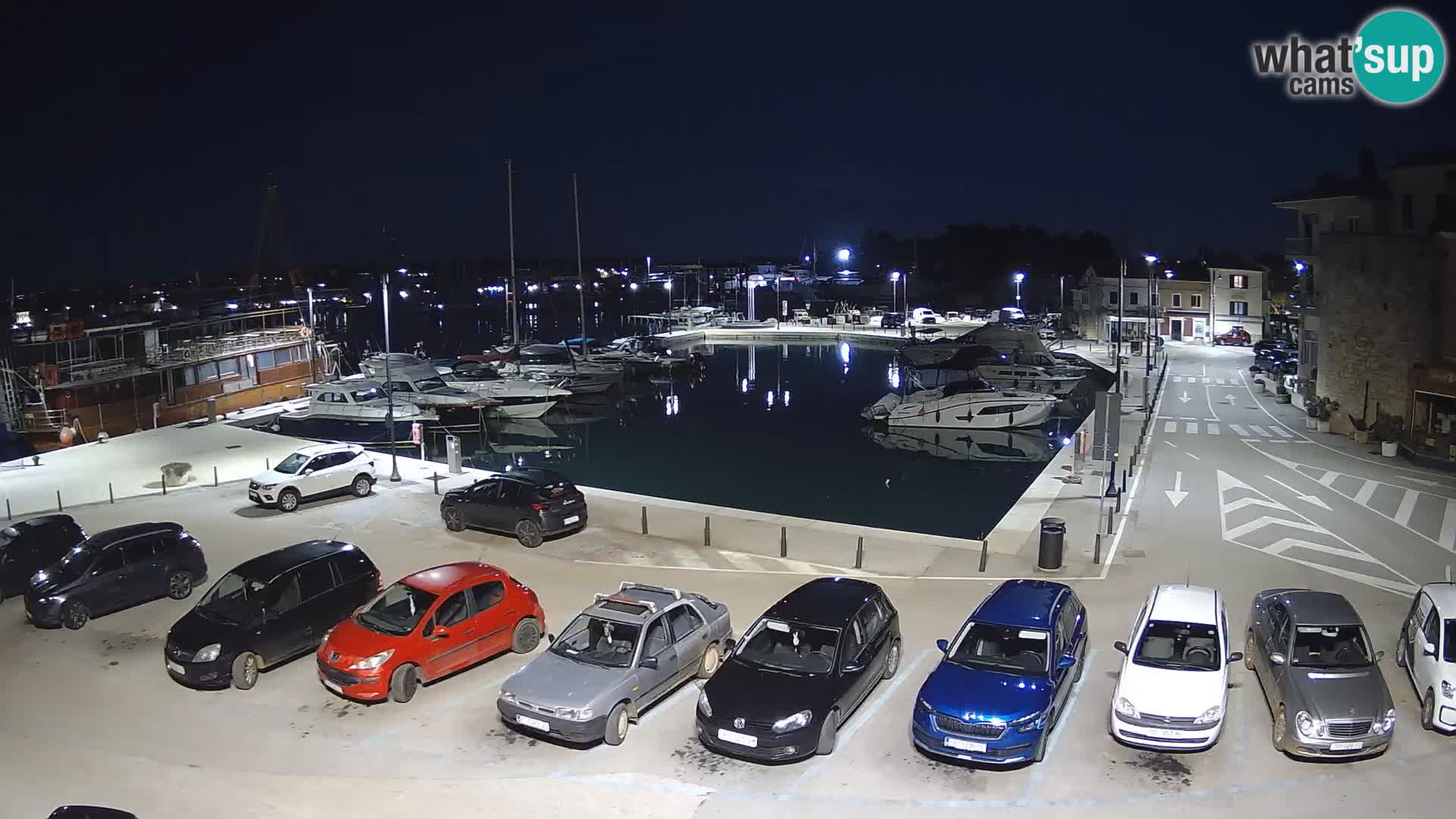 Novigrad | Porporela marina