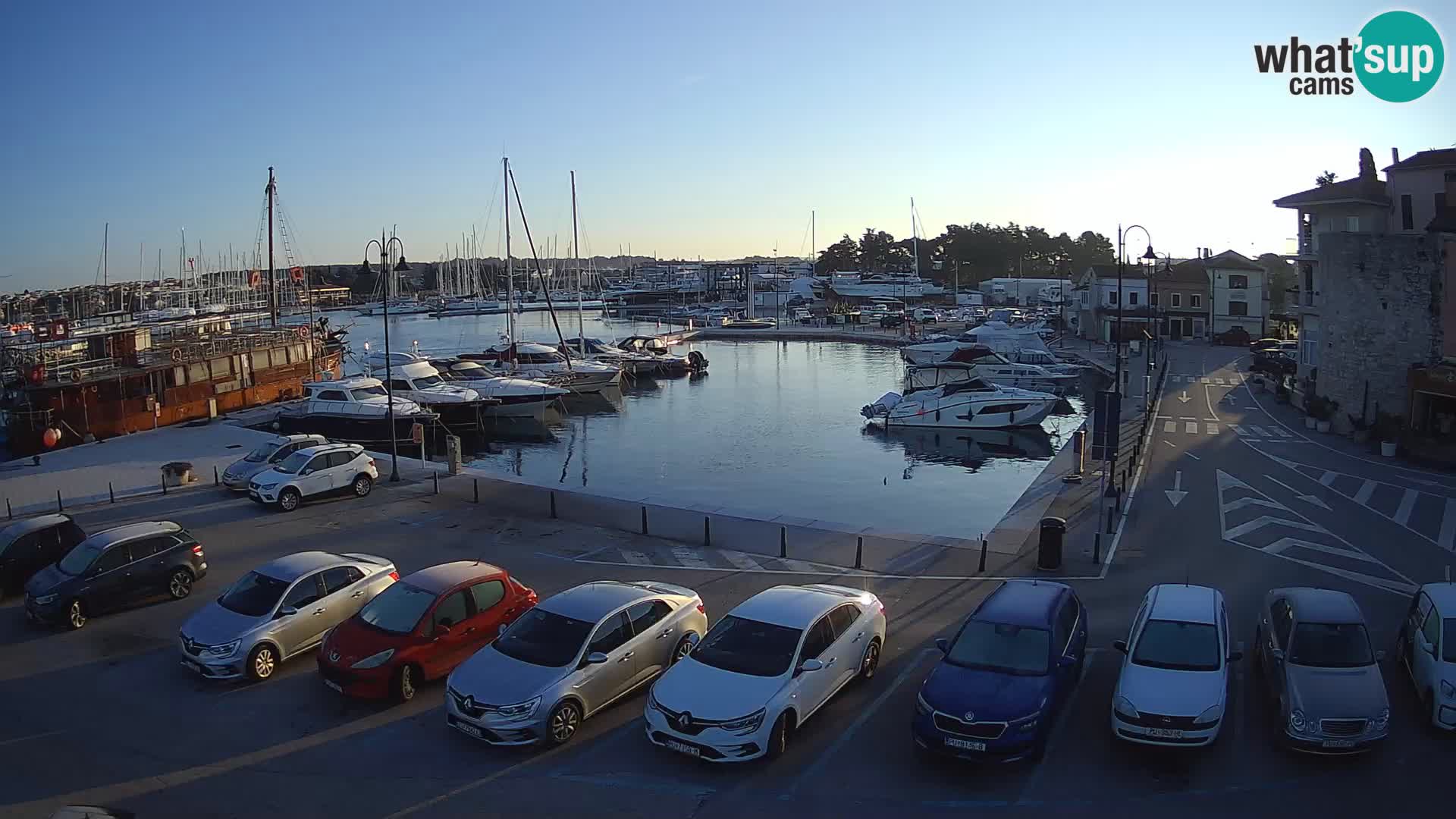 Novigrad | Porporela marina