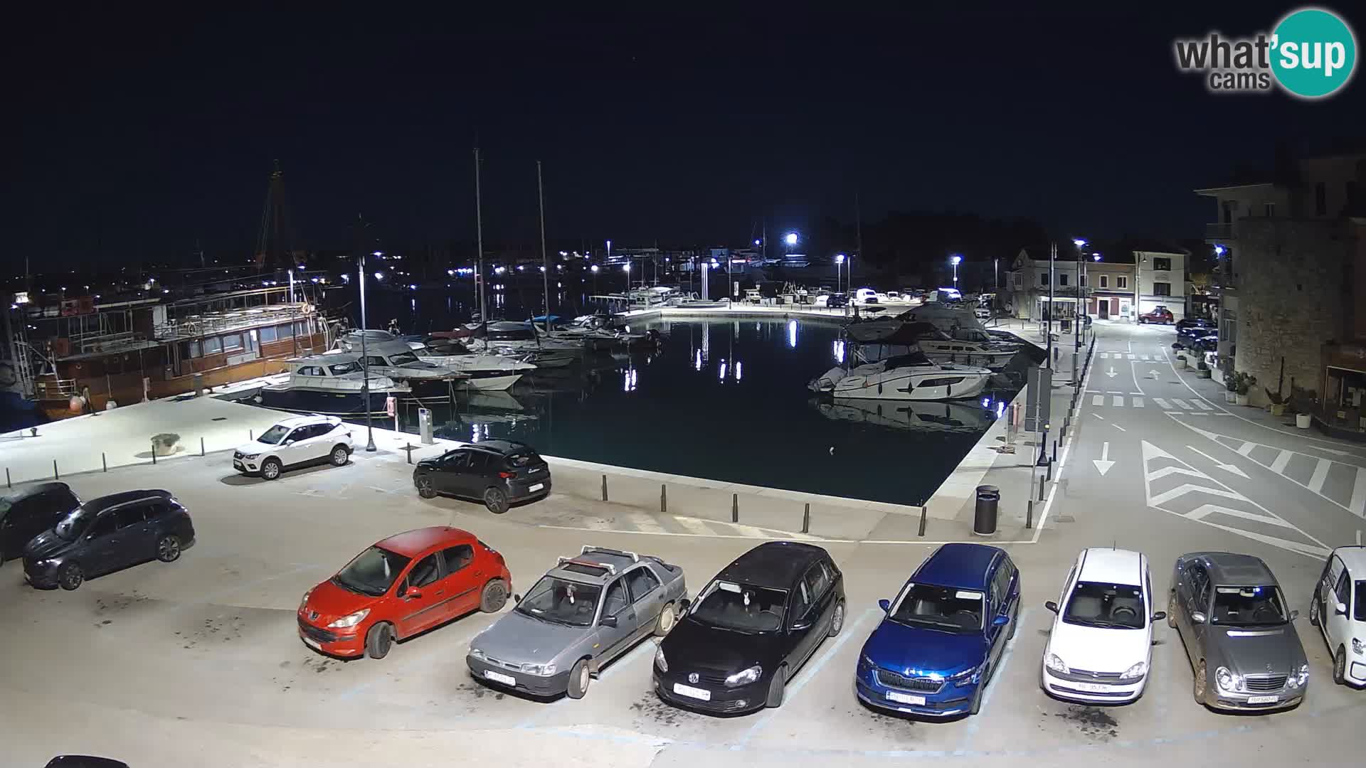 Novigrad | Porporela marina