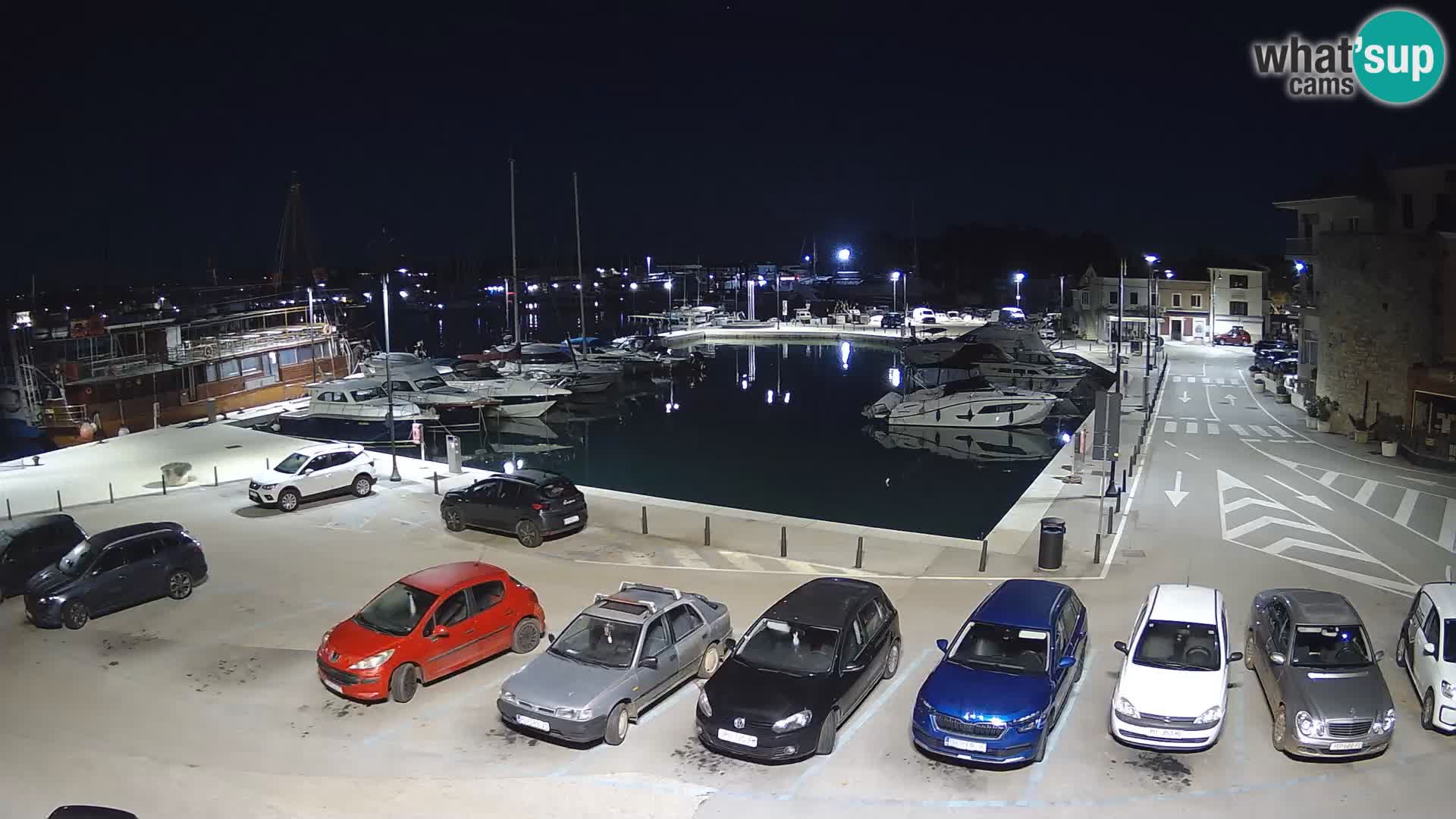 Novigrad | Porporela marina