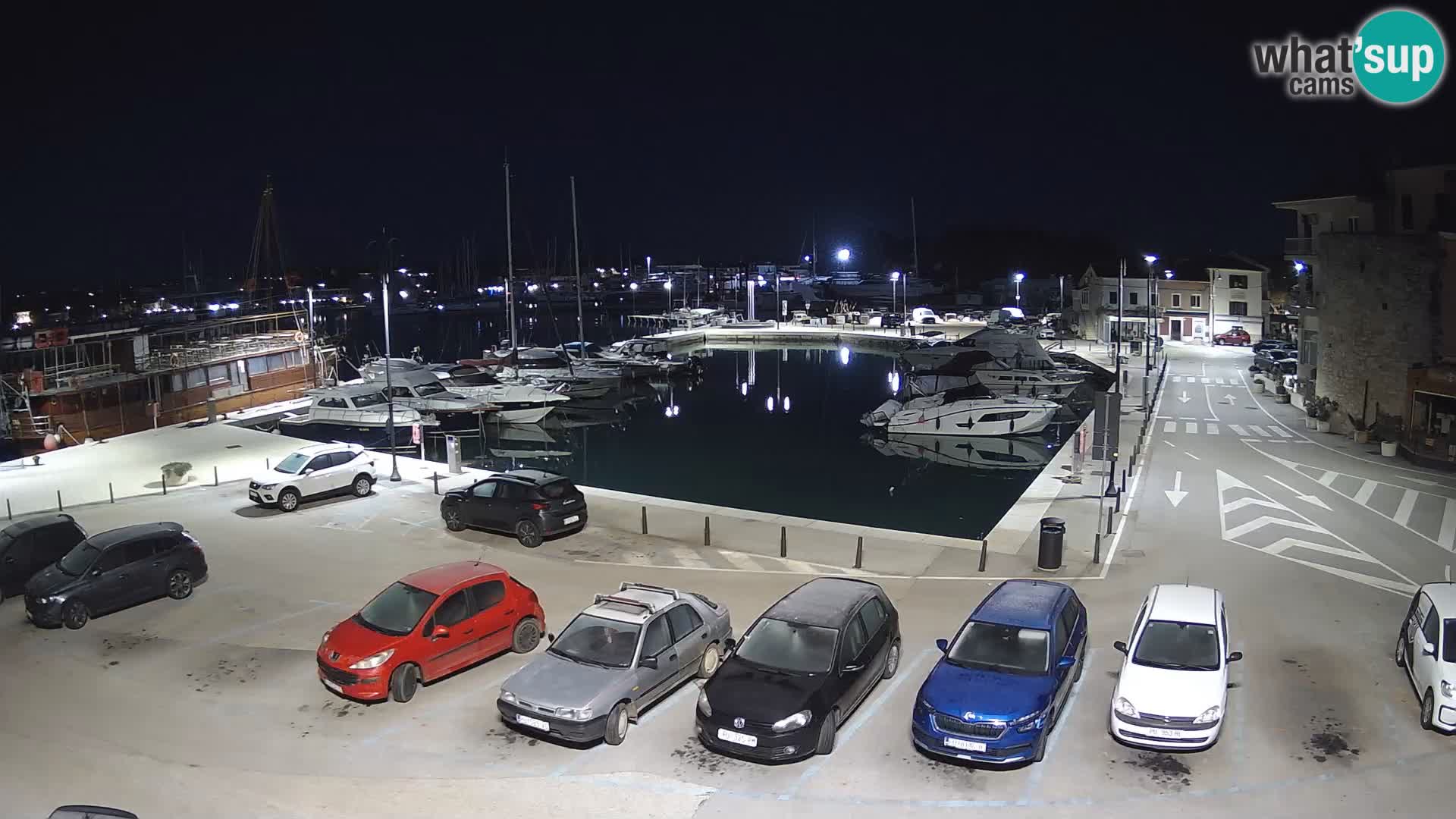 Novigrad | Porporela marina