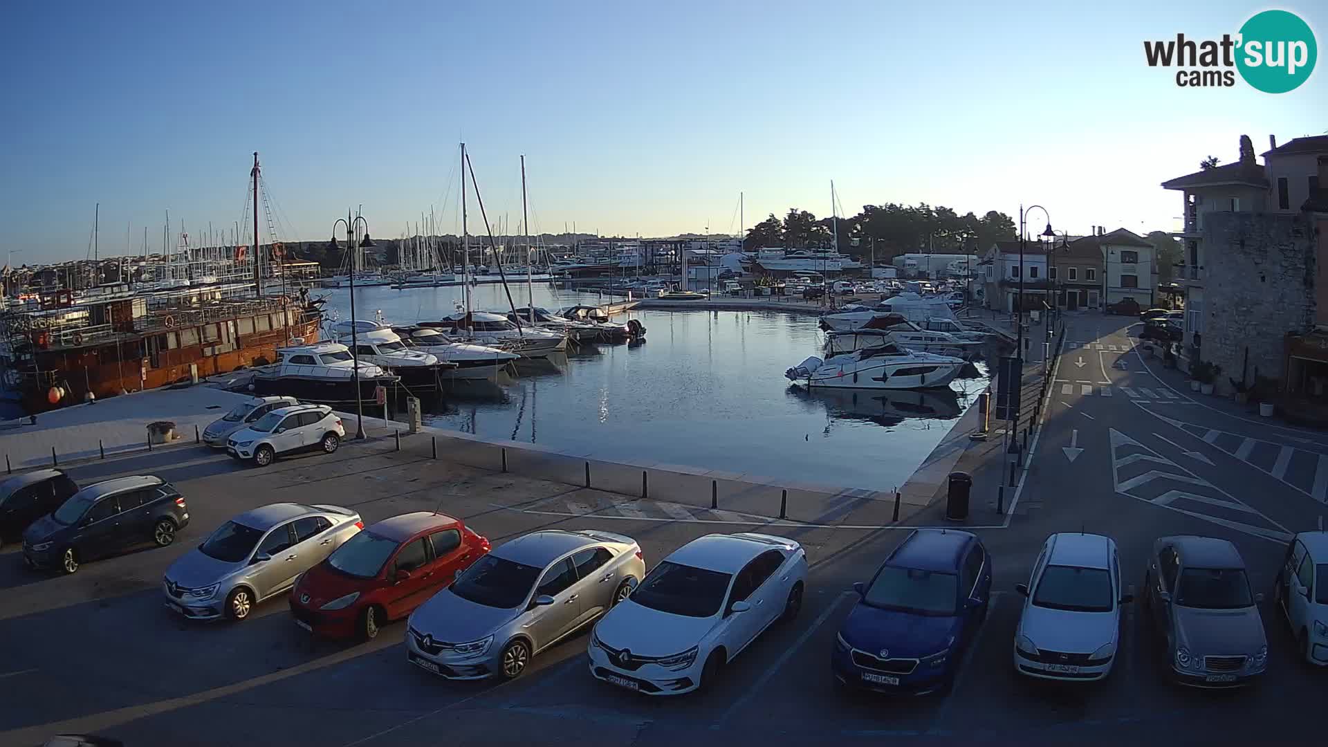 Novigrad | Porporela marina