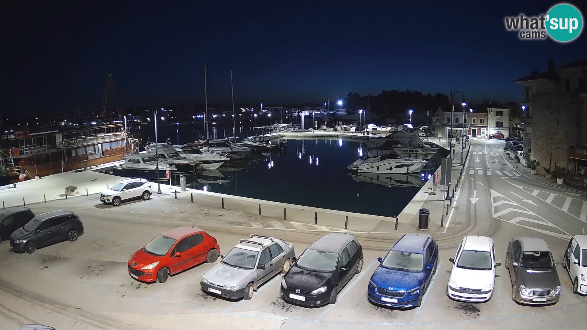 Novigrad | Porporela marina