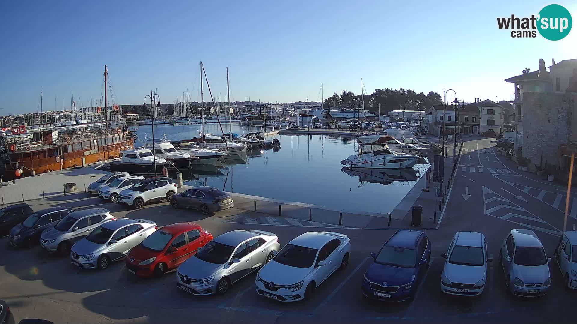 Novigrad | Porporela marina