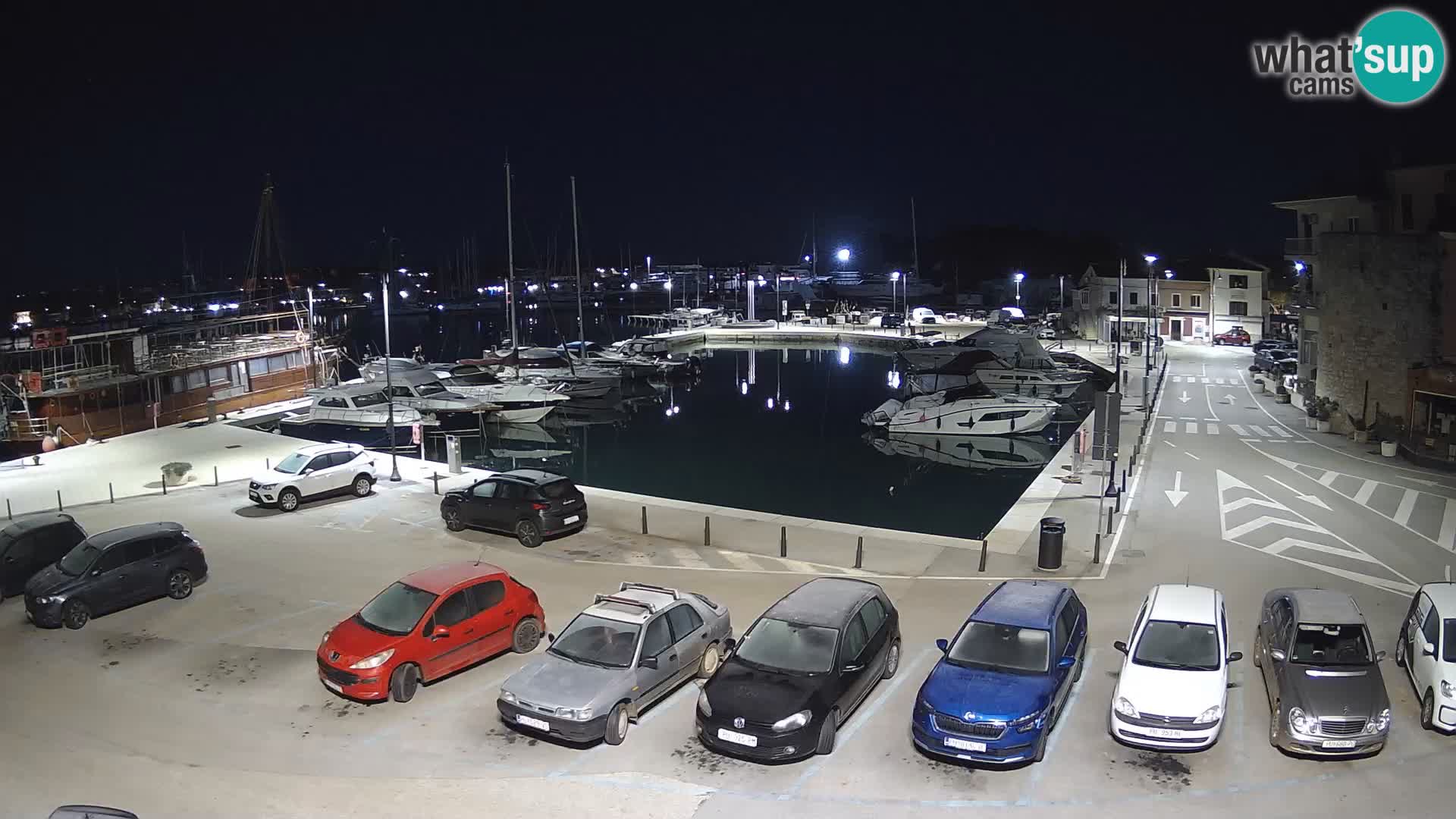 Novigrad | Porporela marina
