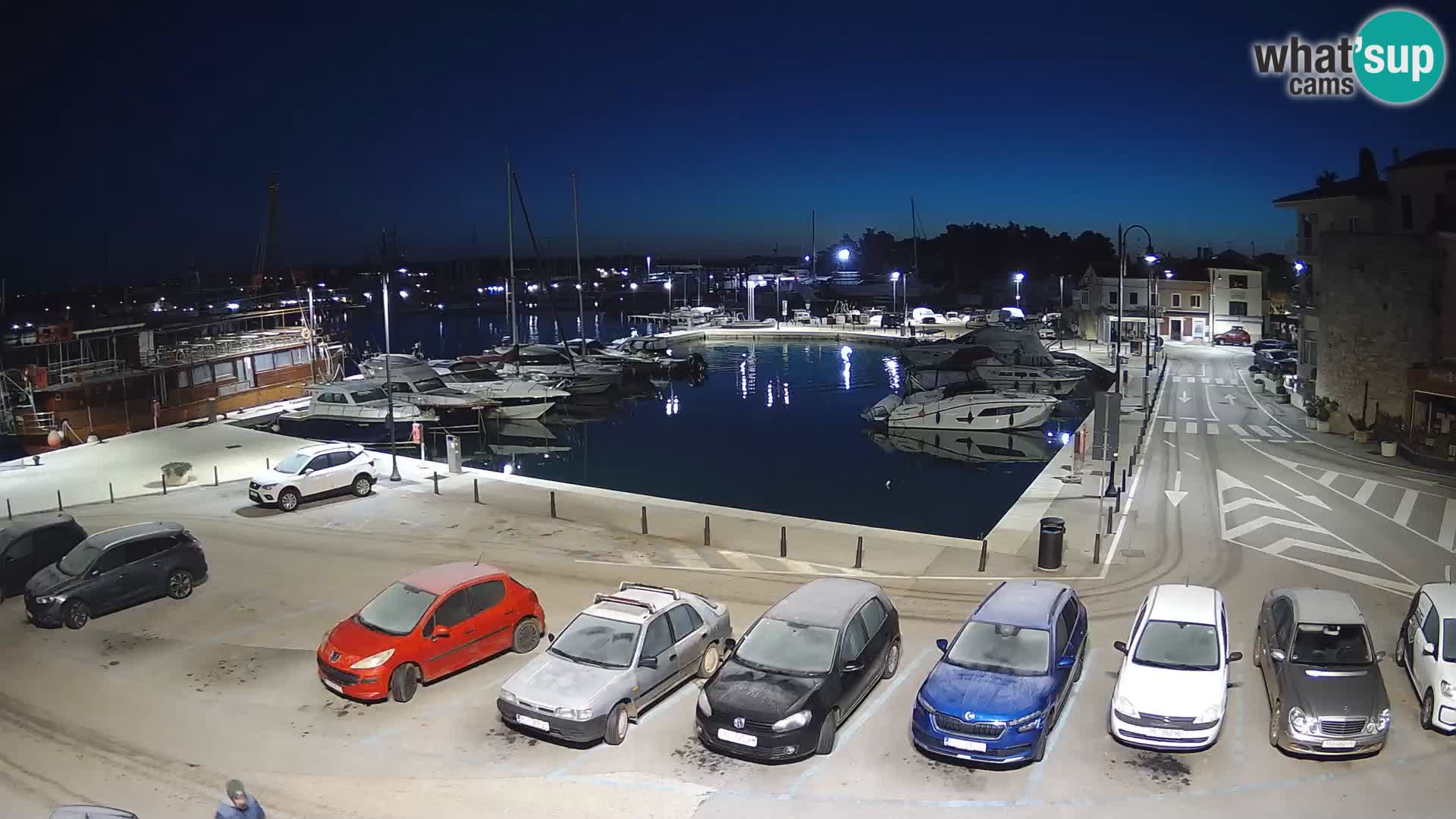 Novigrad | Porporela marina