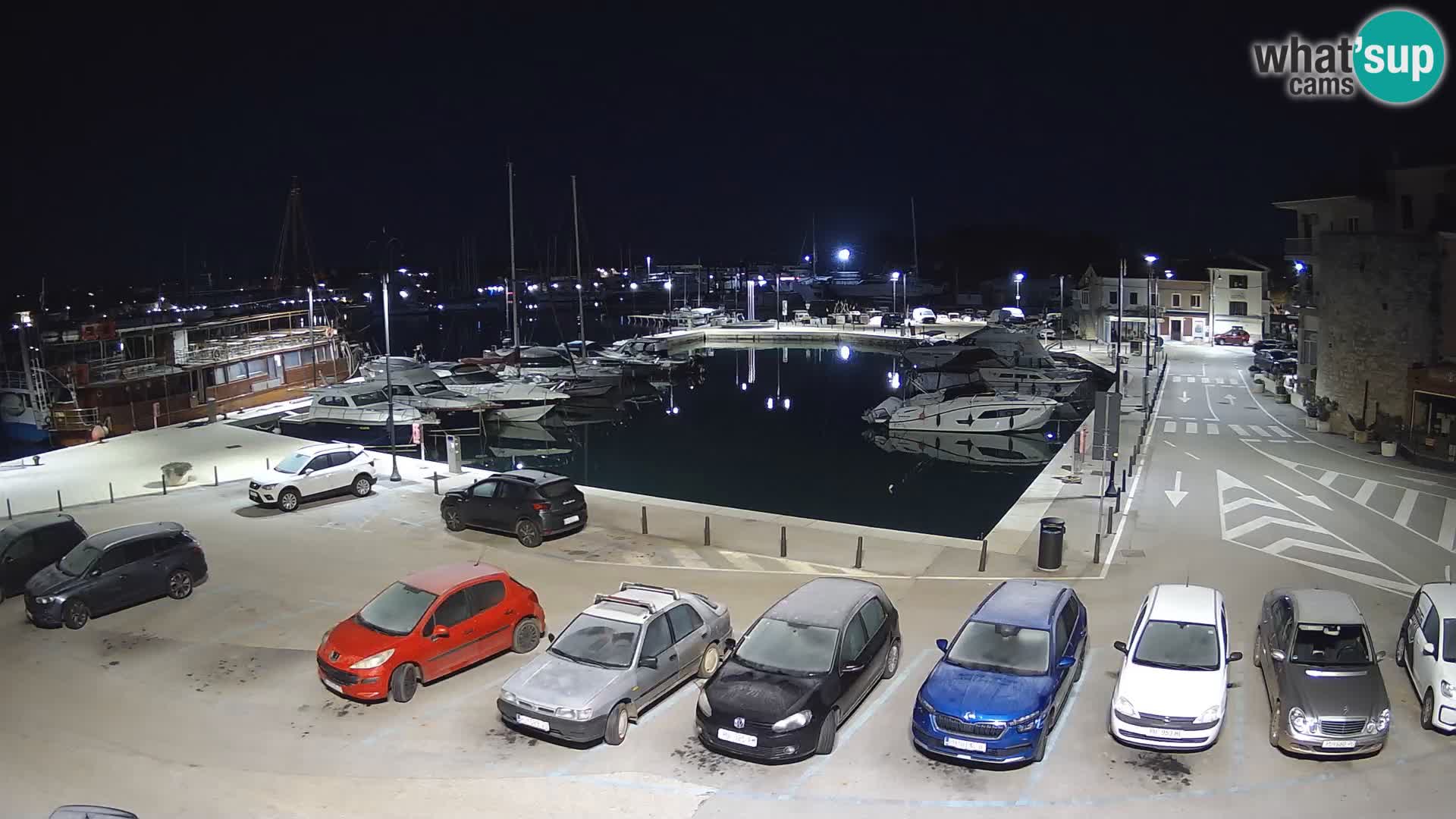 Novigrad | Porporela marina