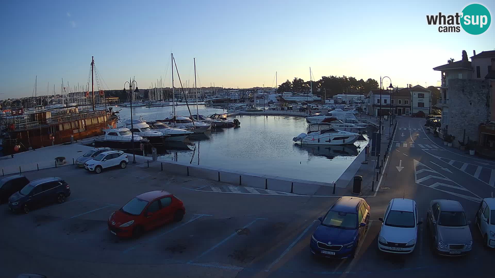 Novigrad | Porporela marina