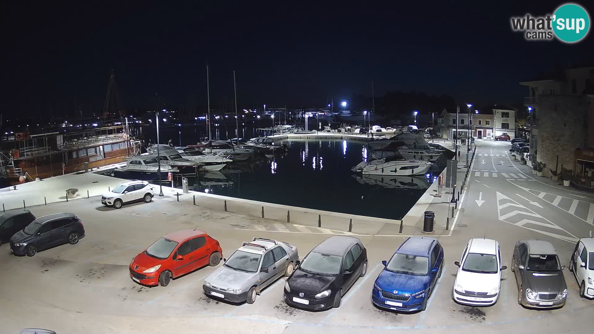 Novigrad | Porporela marina