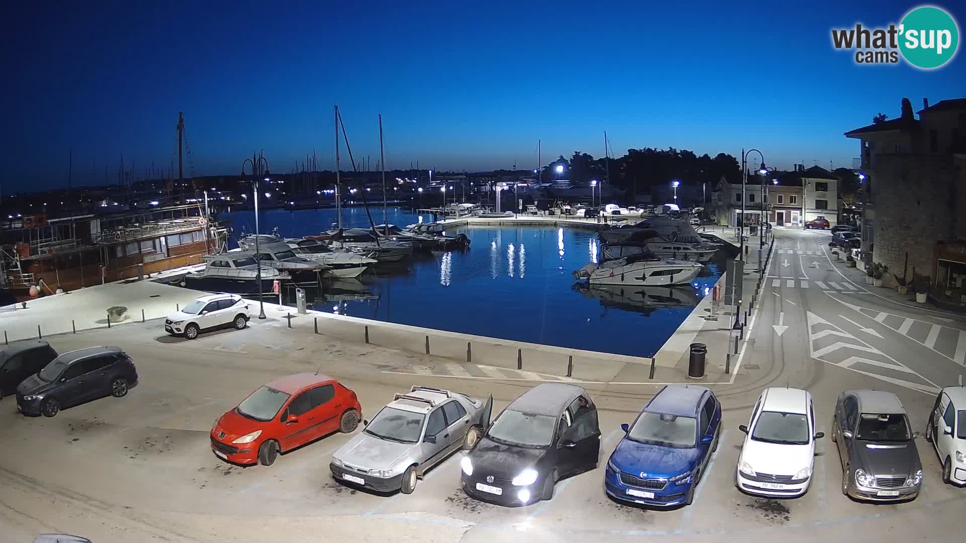 Novigrad | Porporela marina