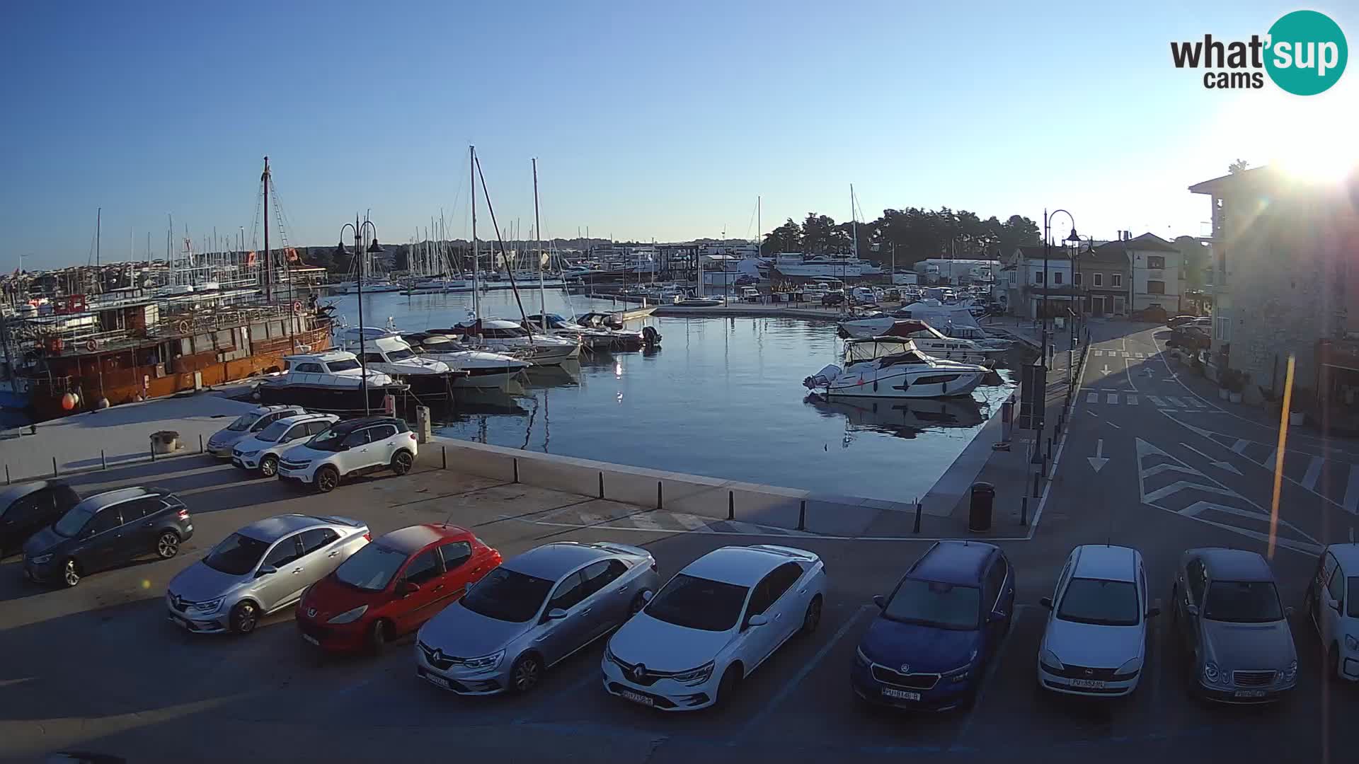 Novigrad | Porporela marina