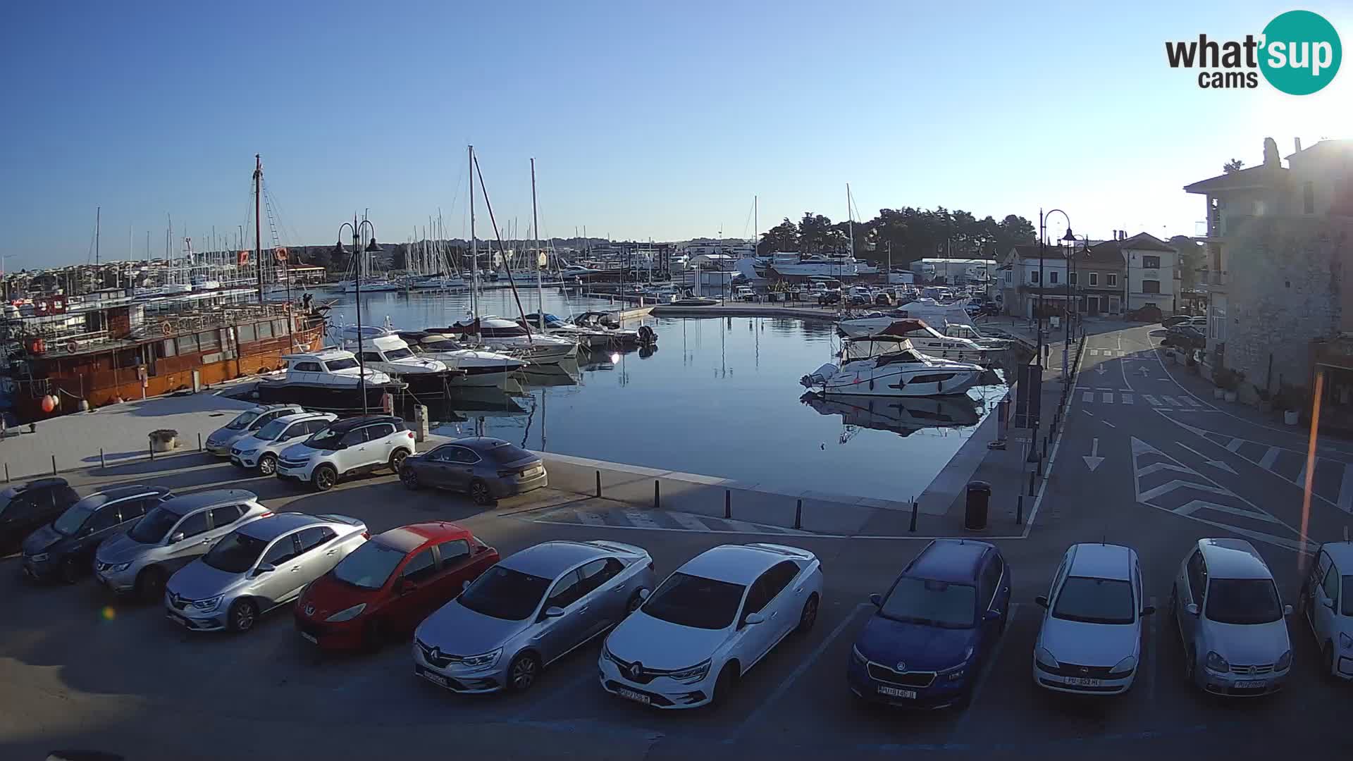 Novigrad | Porporela marina