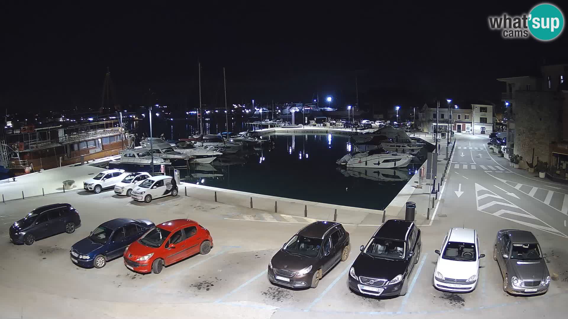 Novigrad | Porporela marina