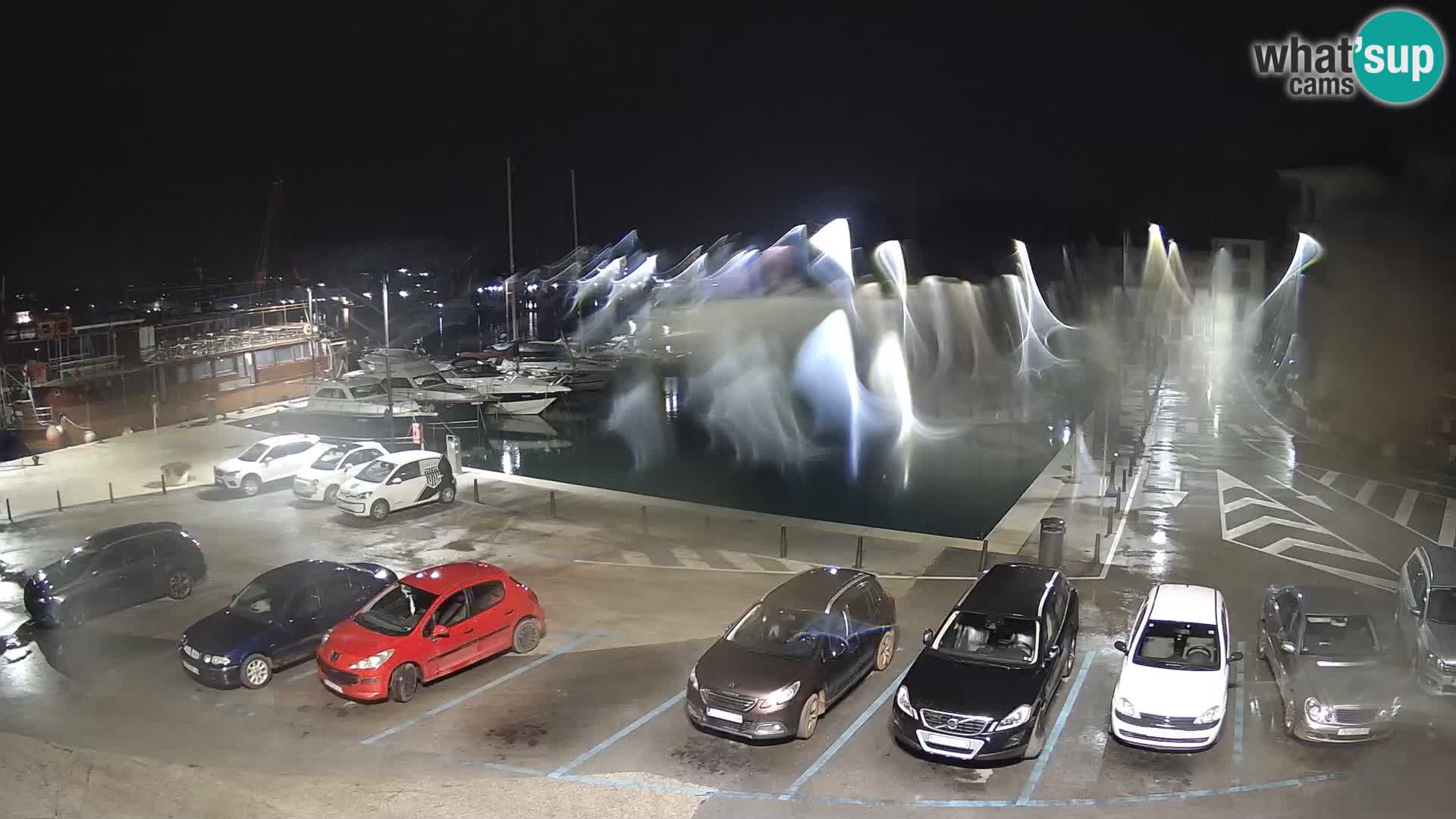 Novigrad | Porporela marina