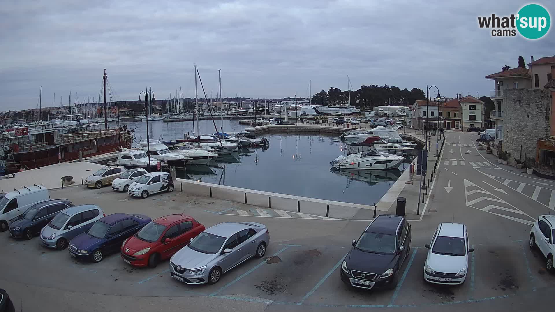 Novigrad | Porporela marina