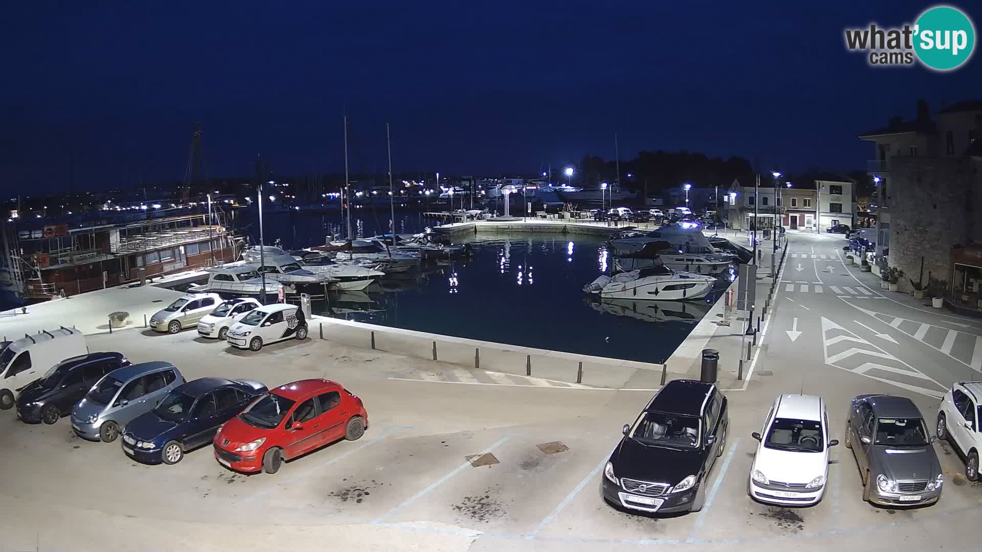 Novigrad | Porporela marina