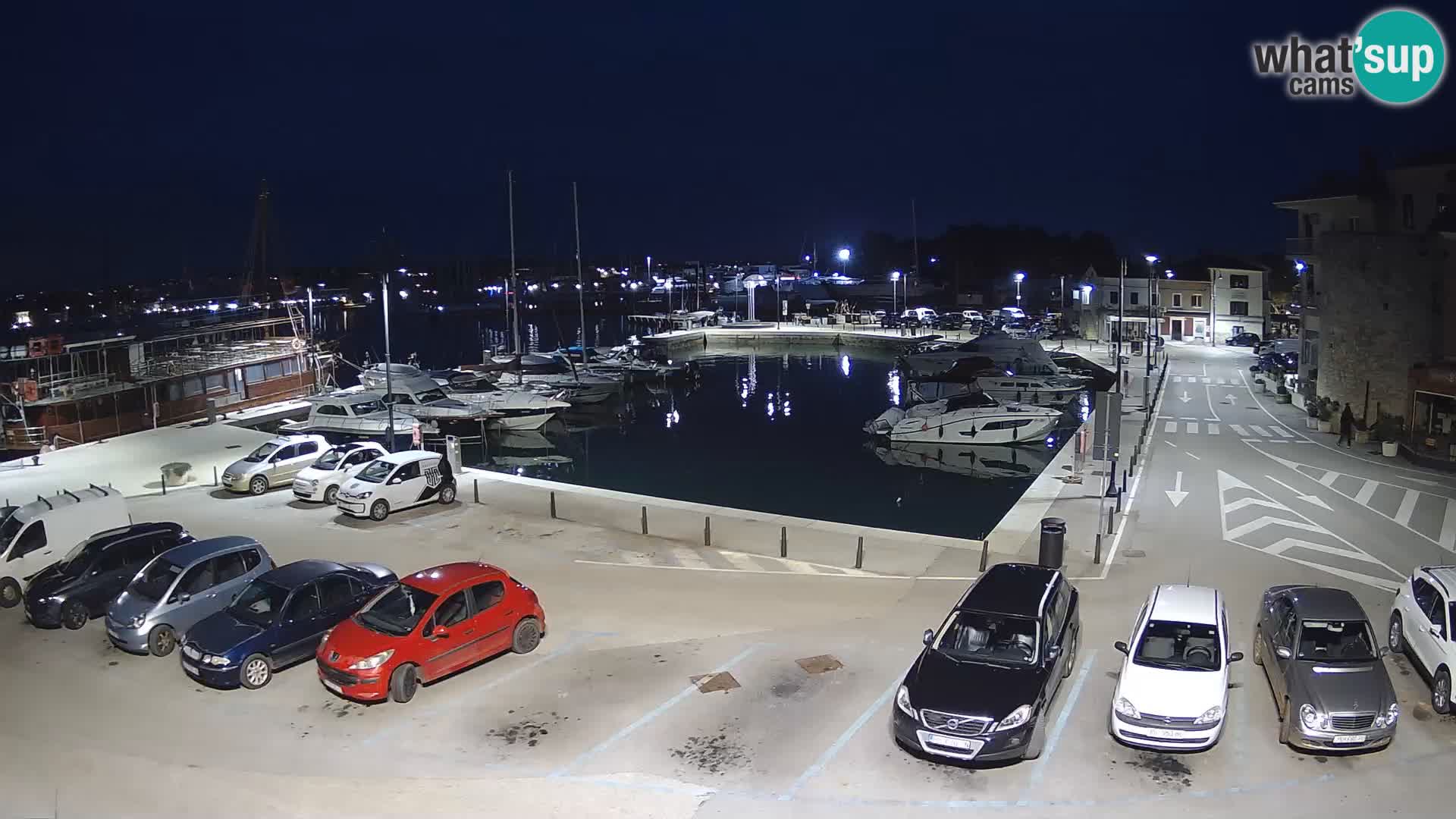 Novigrad | Porporela marina