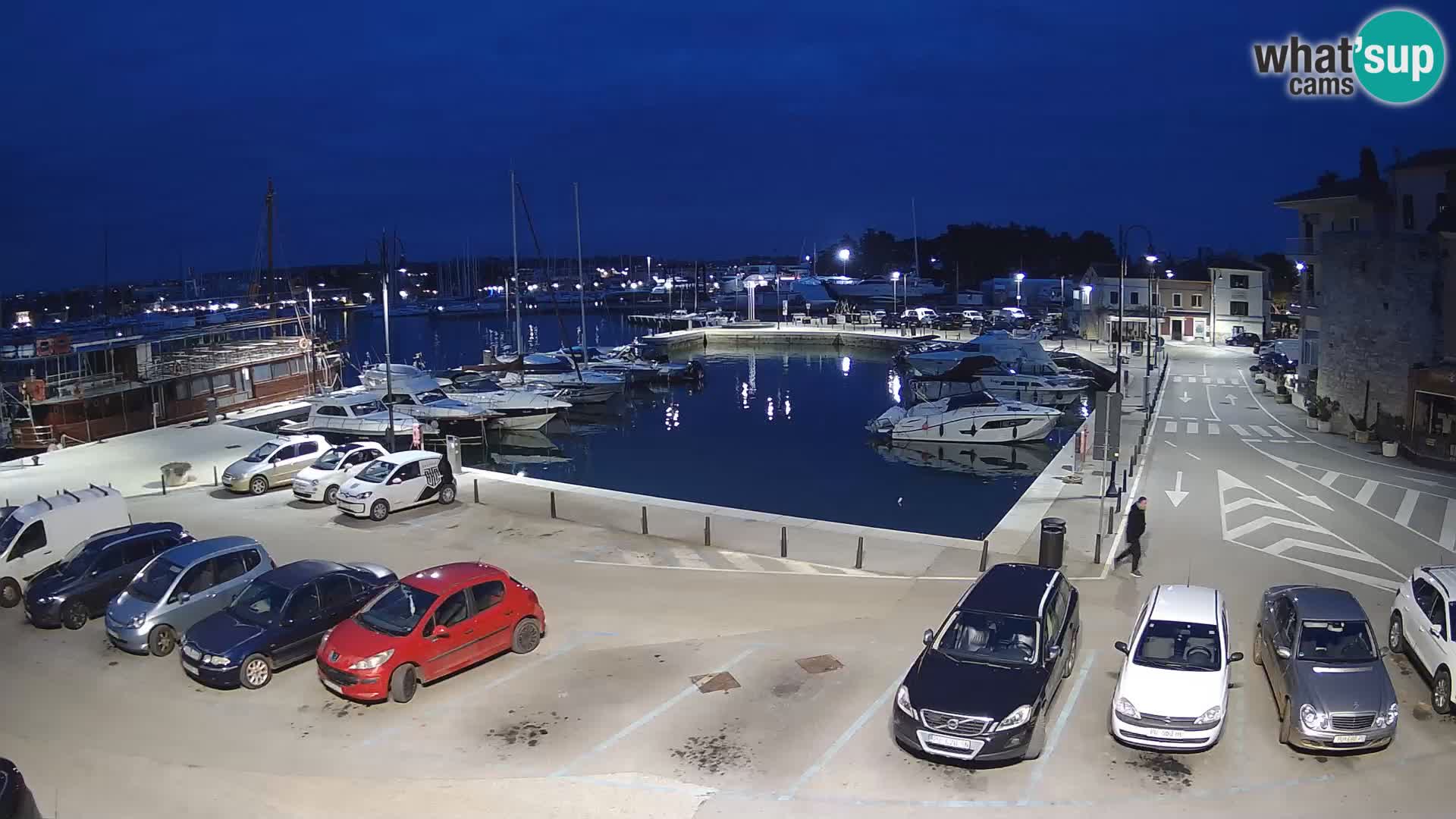 Novigrad | Porporela marina