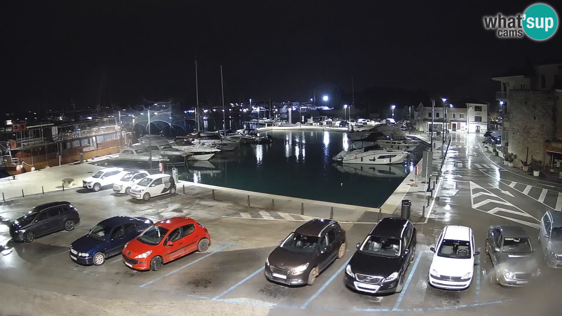 Novigrad | Porporela marina