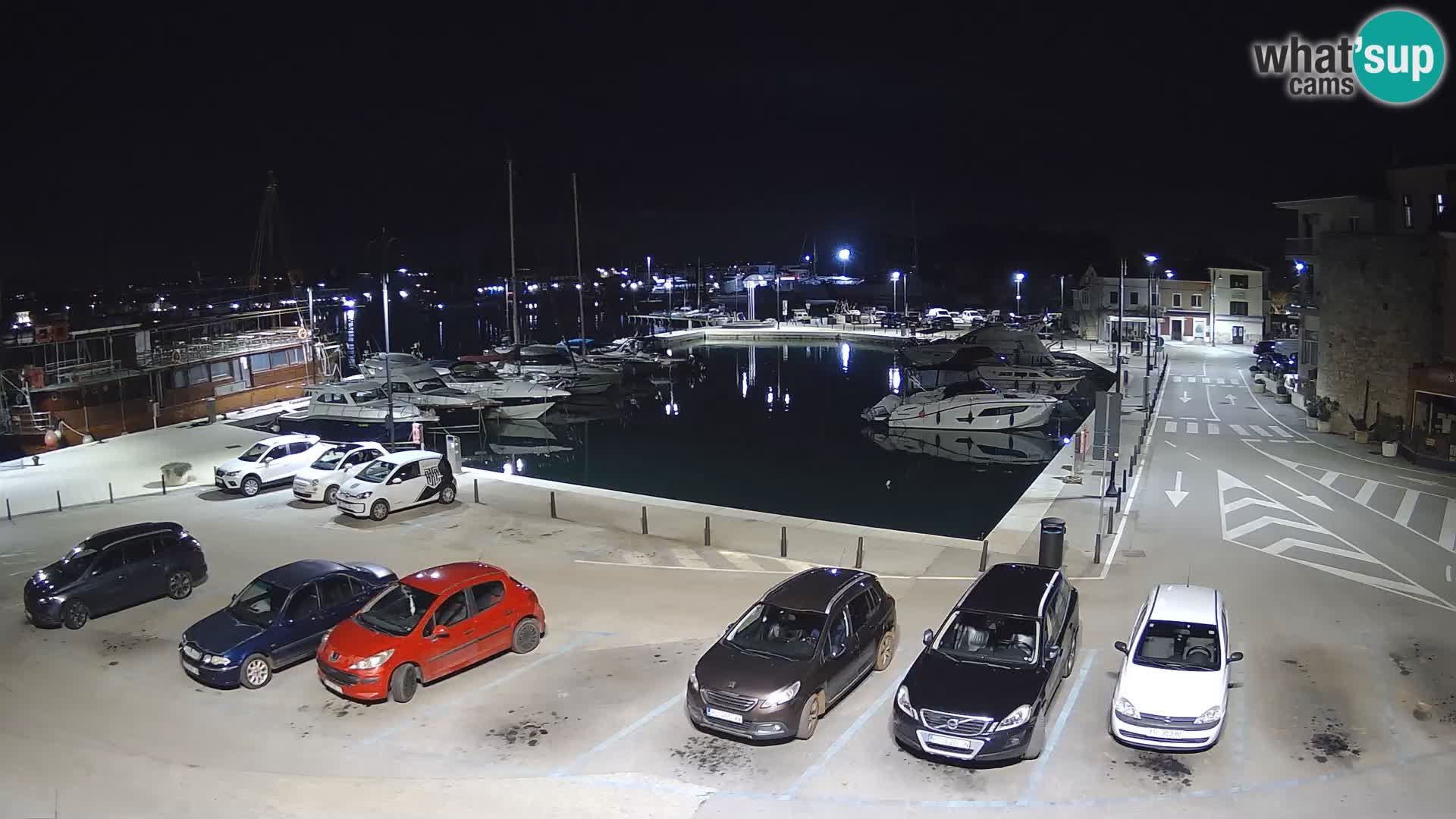 Novigrad | Porporela marina