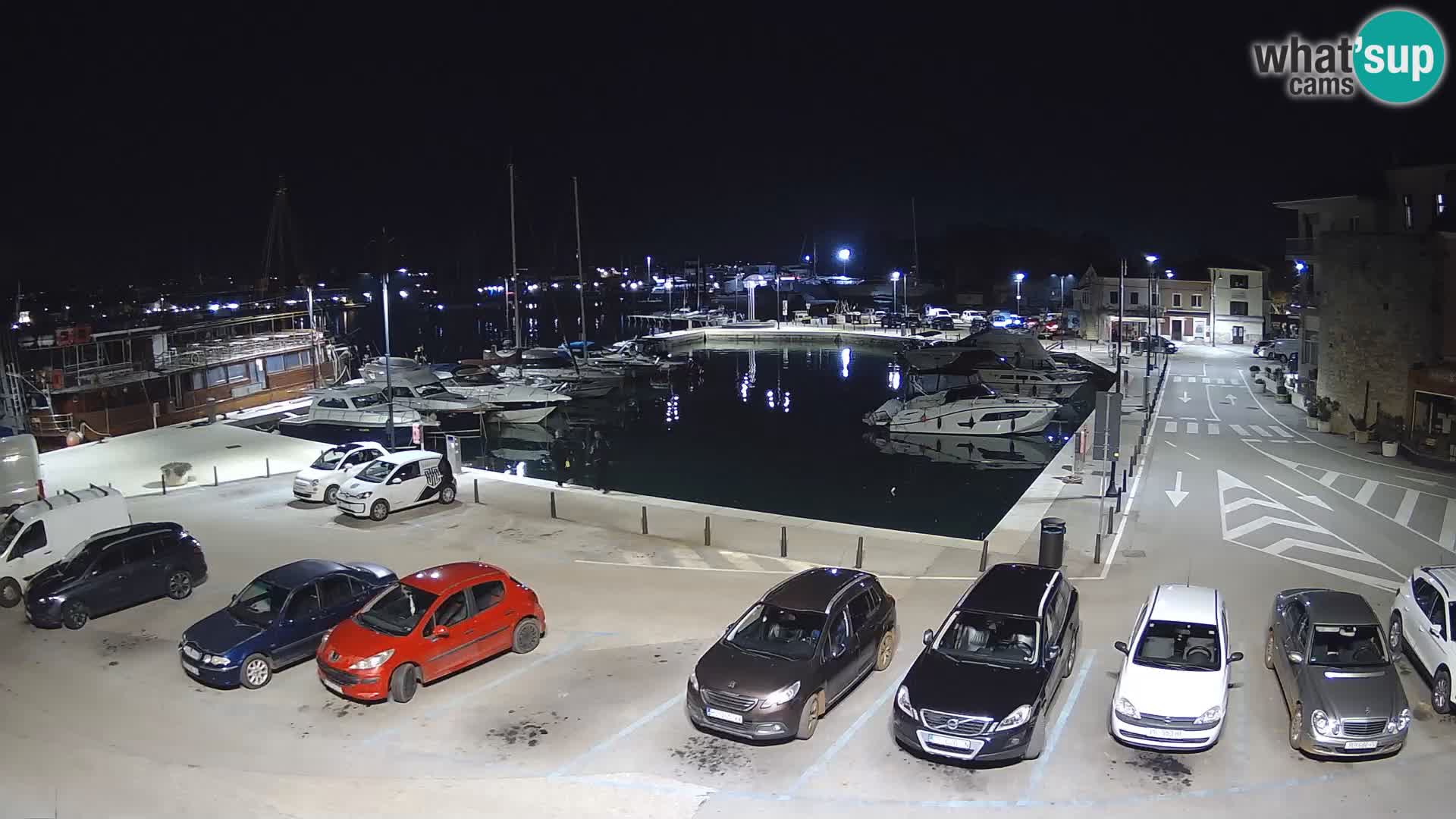 Novigrad | Porporela marina