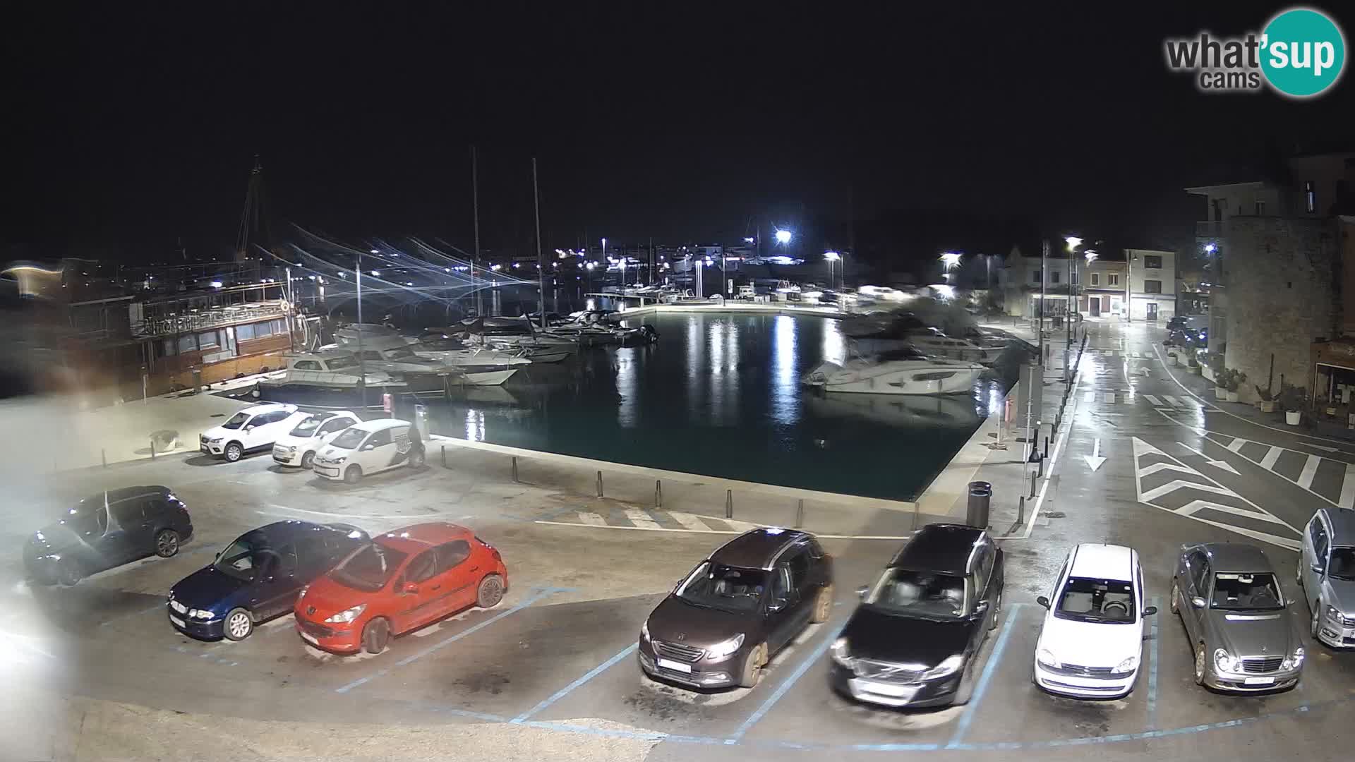 Novigrad | Porporela marina