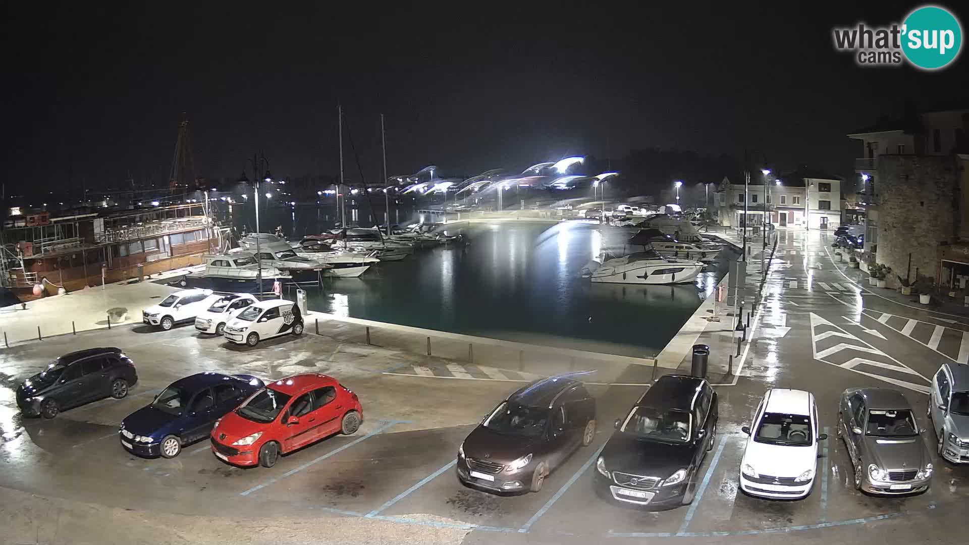 Novigrad | Porporela marina