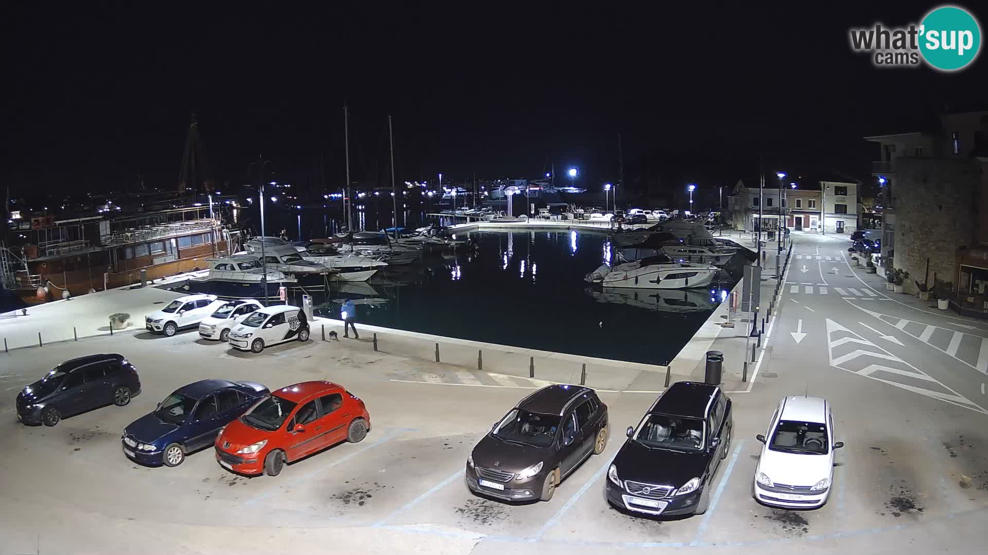 Novigrad | Porporela marina