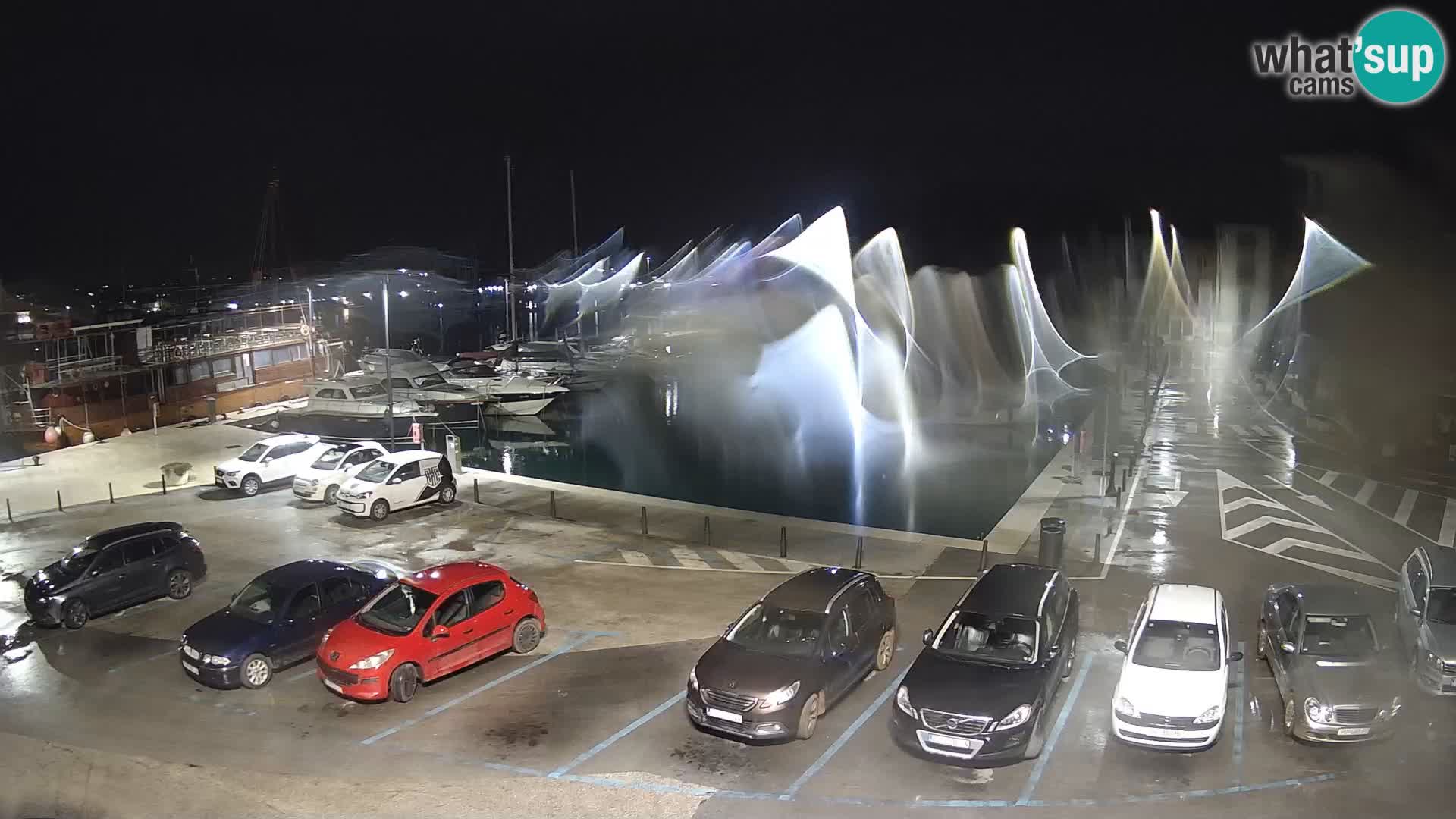 Novigrad | Porporela marina