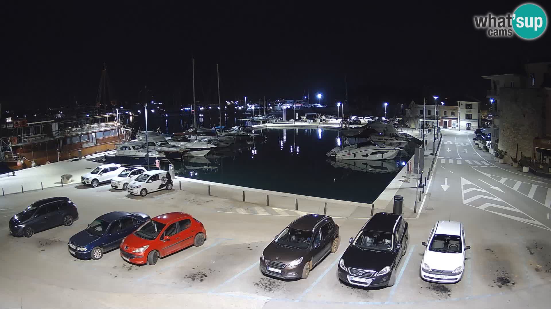 Novigrad | Porporela marina