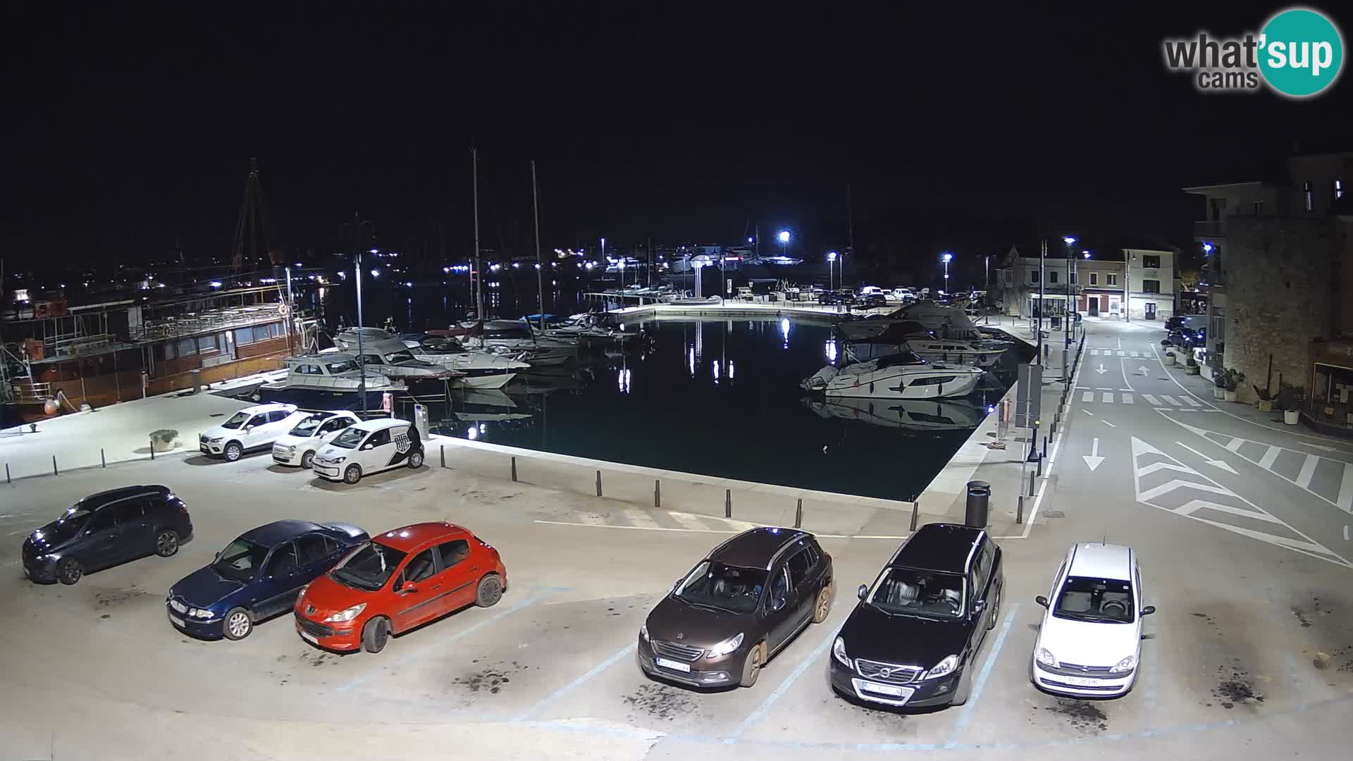 Novigrad | Porporela marina