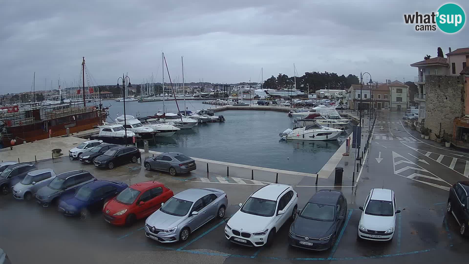 Novigrad | Porporela marina