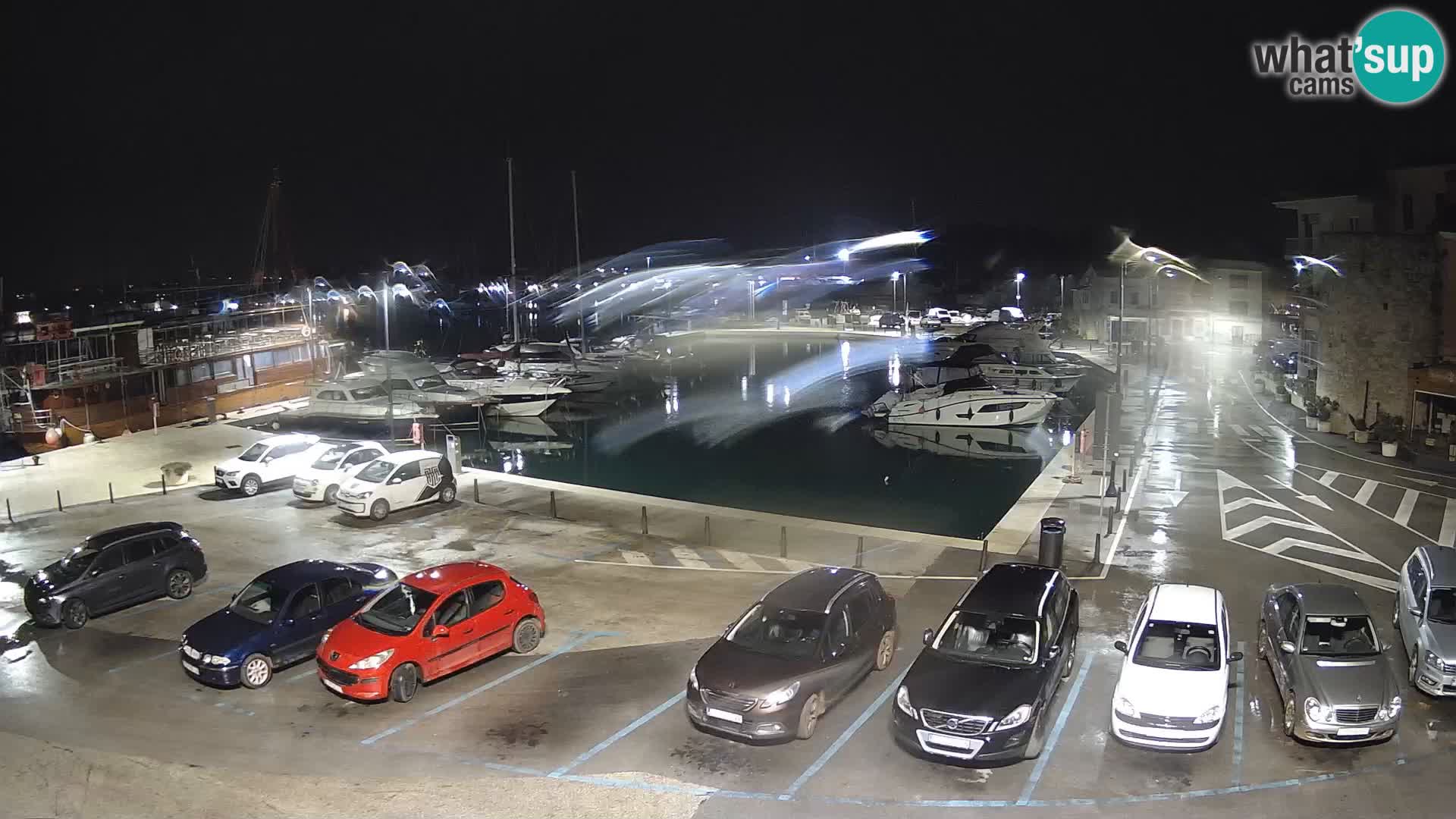 Novigrad | Porporela marina