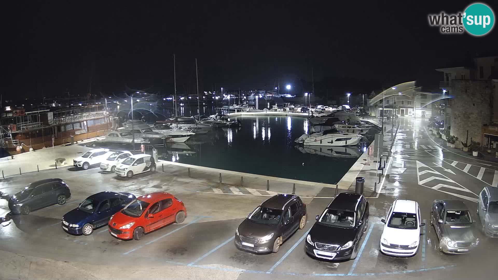 Novigrad | Porporela marina