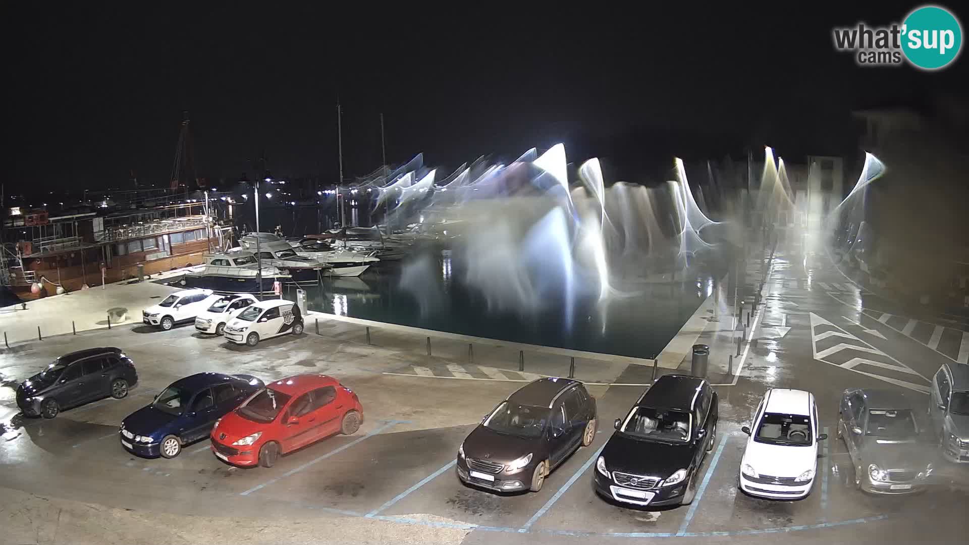 Novigrad | Porporela marina