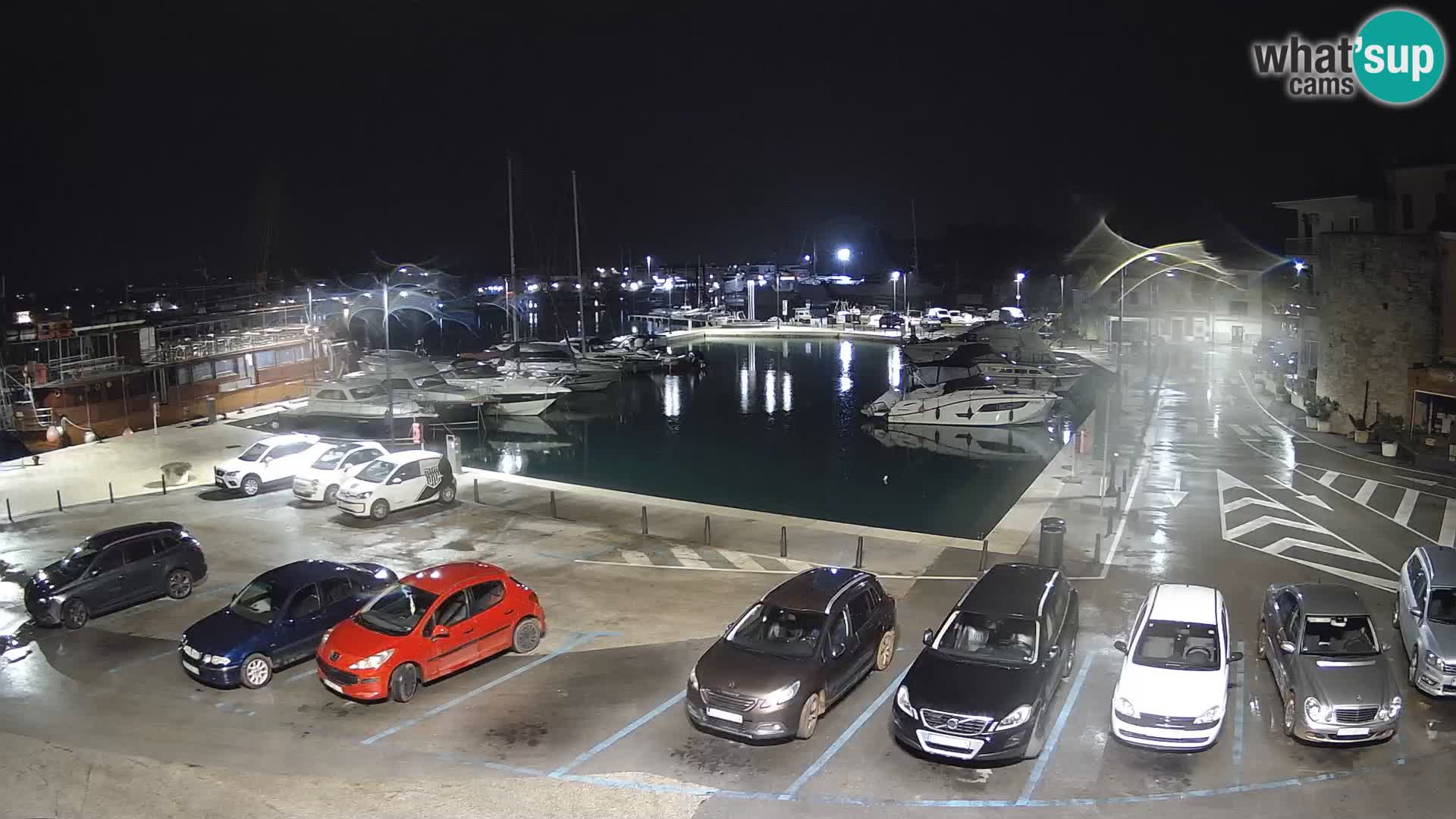 Novigrad | Porporela marina