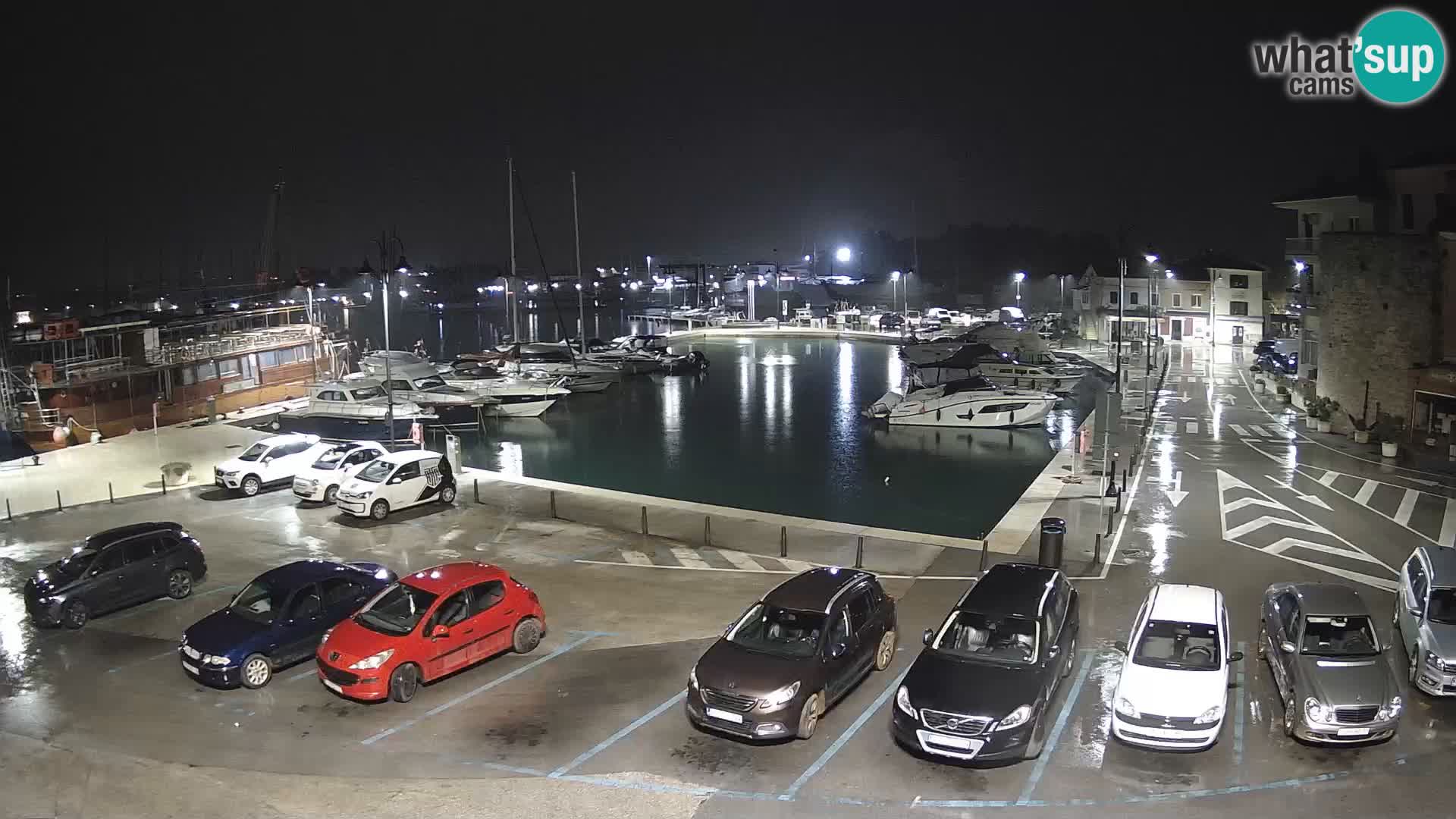 Novigrad | Porporela marina