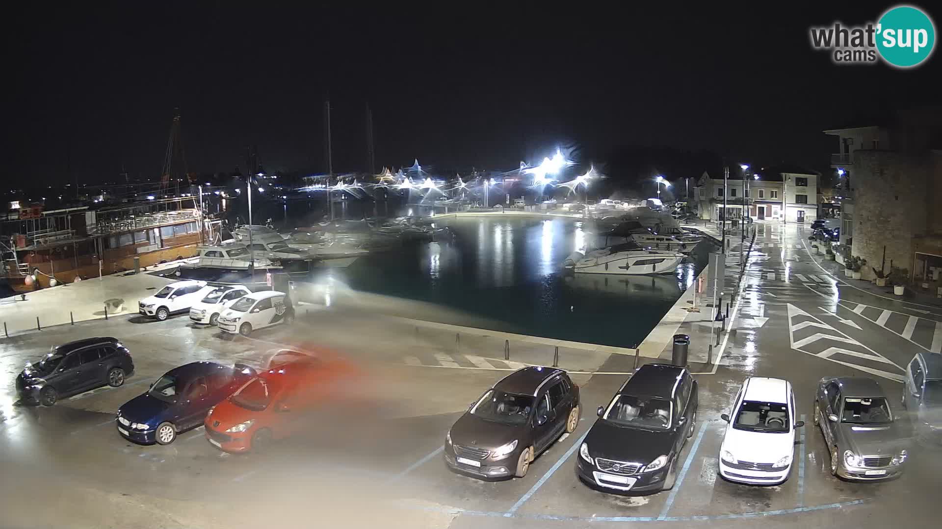 Novigrad | Porporela marina