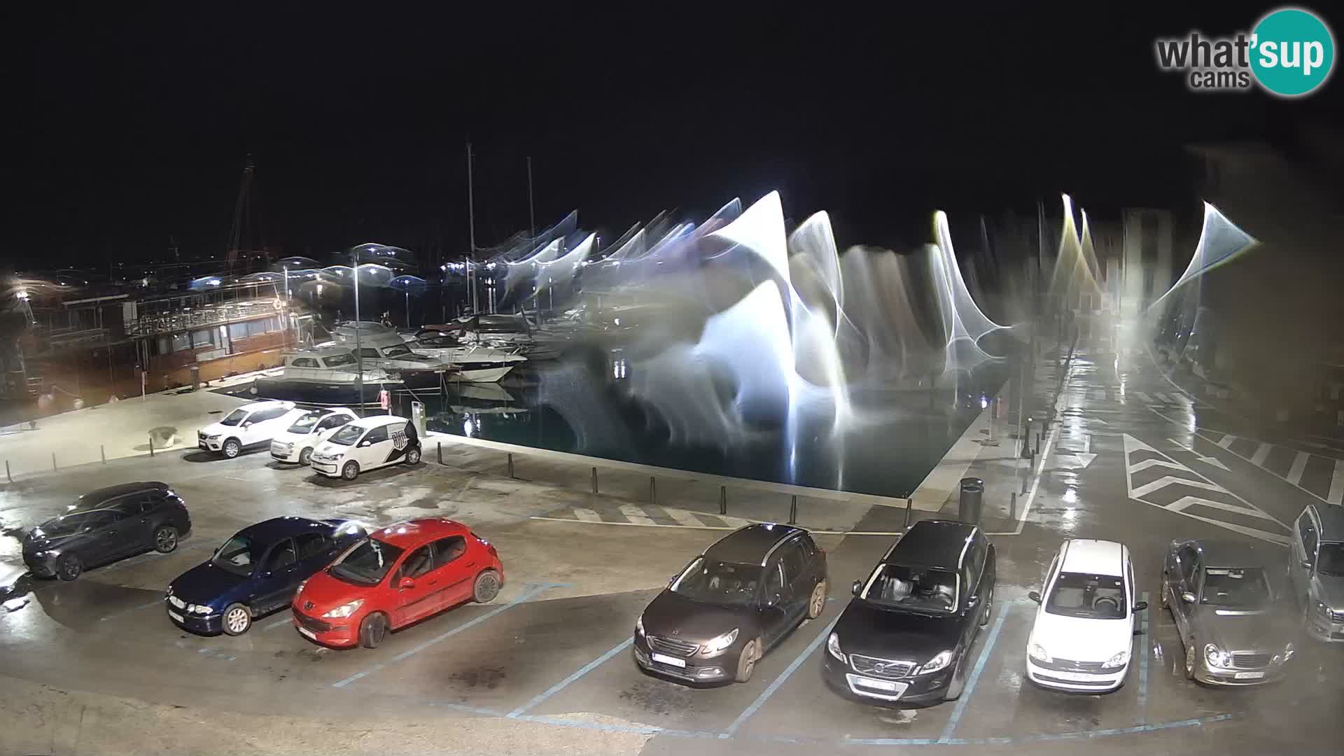 Novigrad | Porporela marina