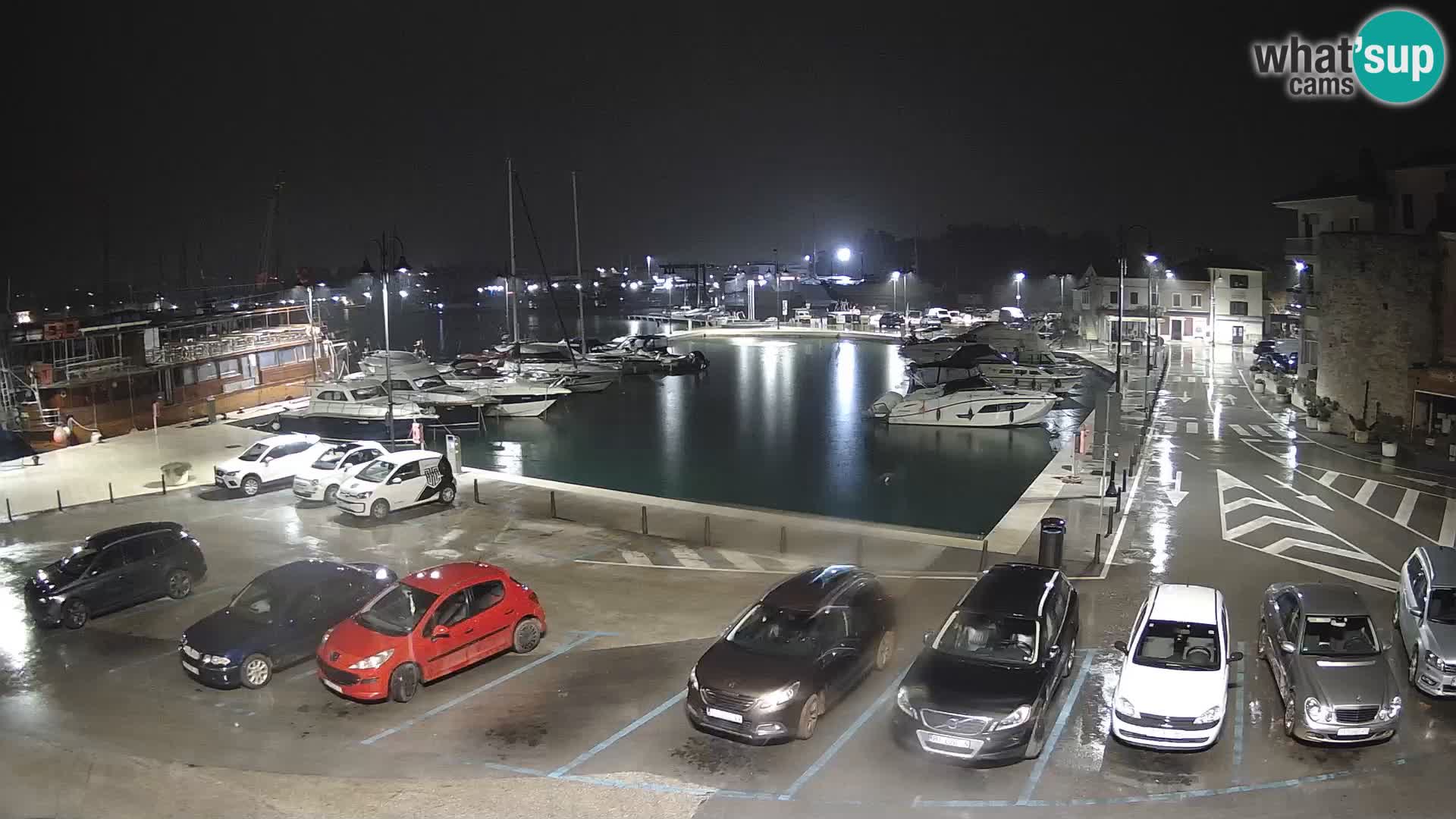 Novigrad | Porporela marina